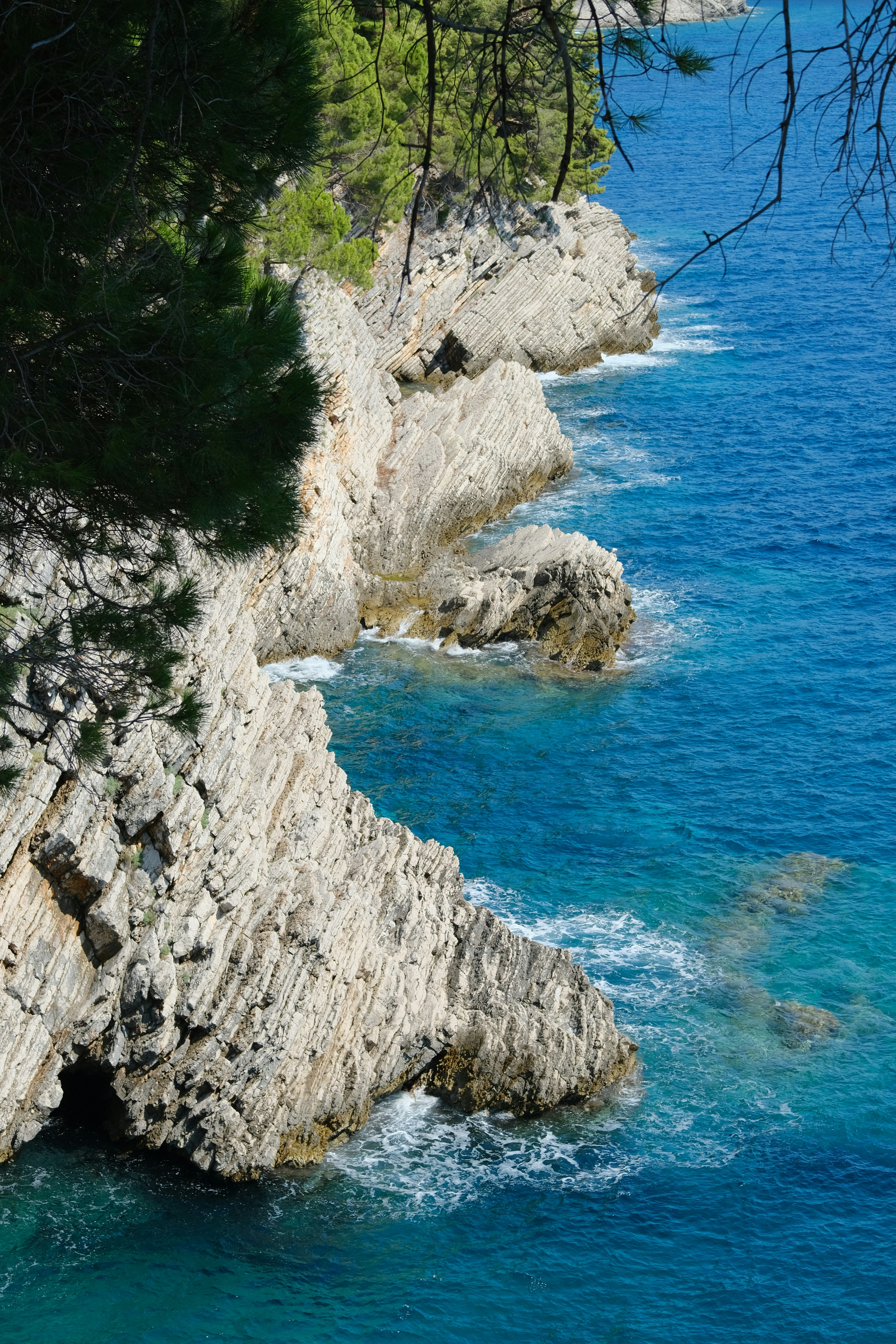 Photo by alexxingplus