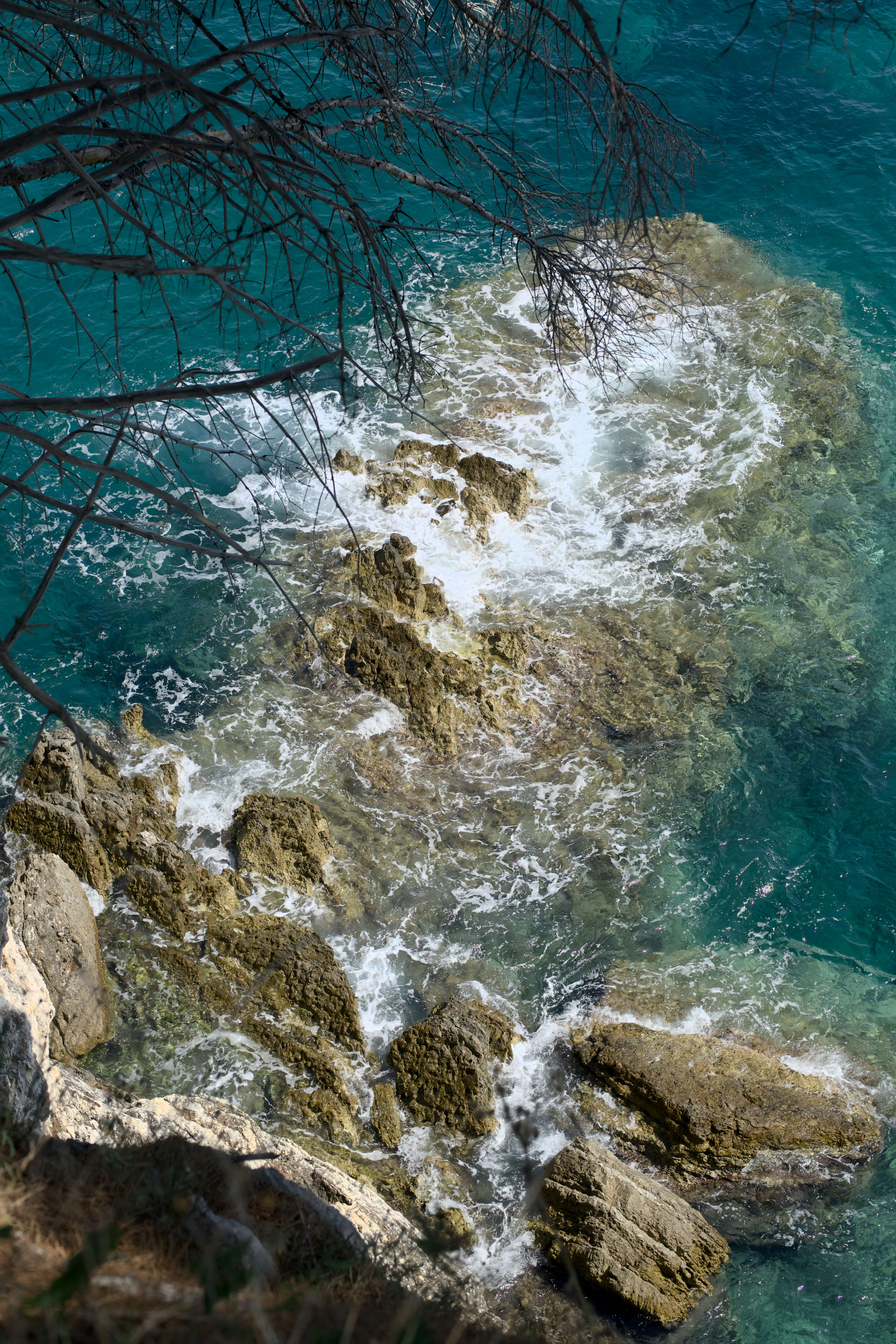 Photo by alexxingplus