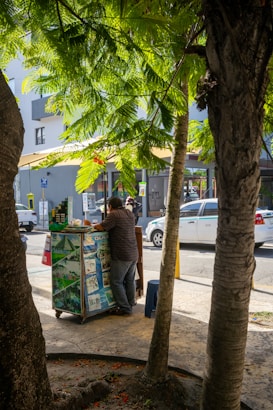 A man standing next to a tree filled with boxes