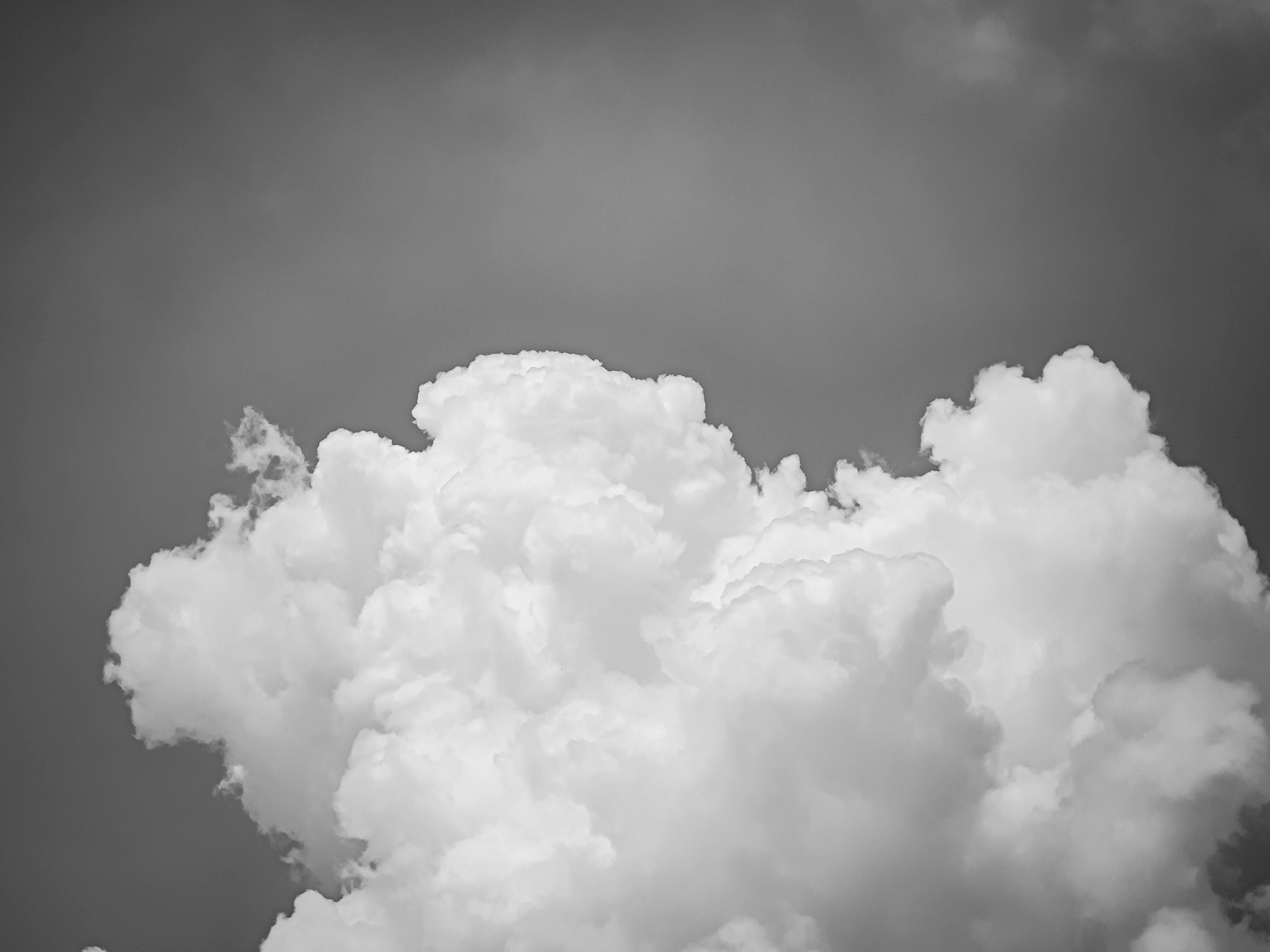 Photo by pulpexposed