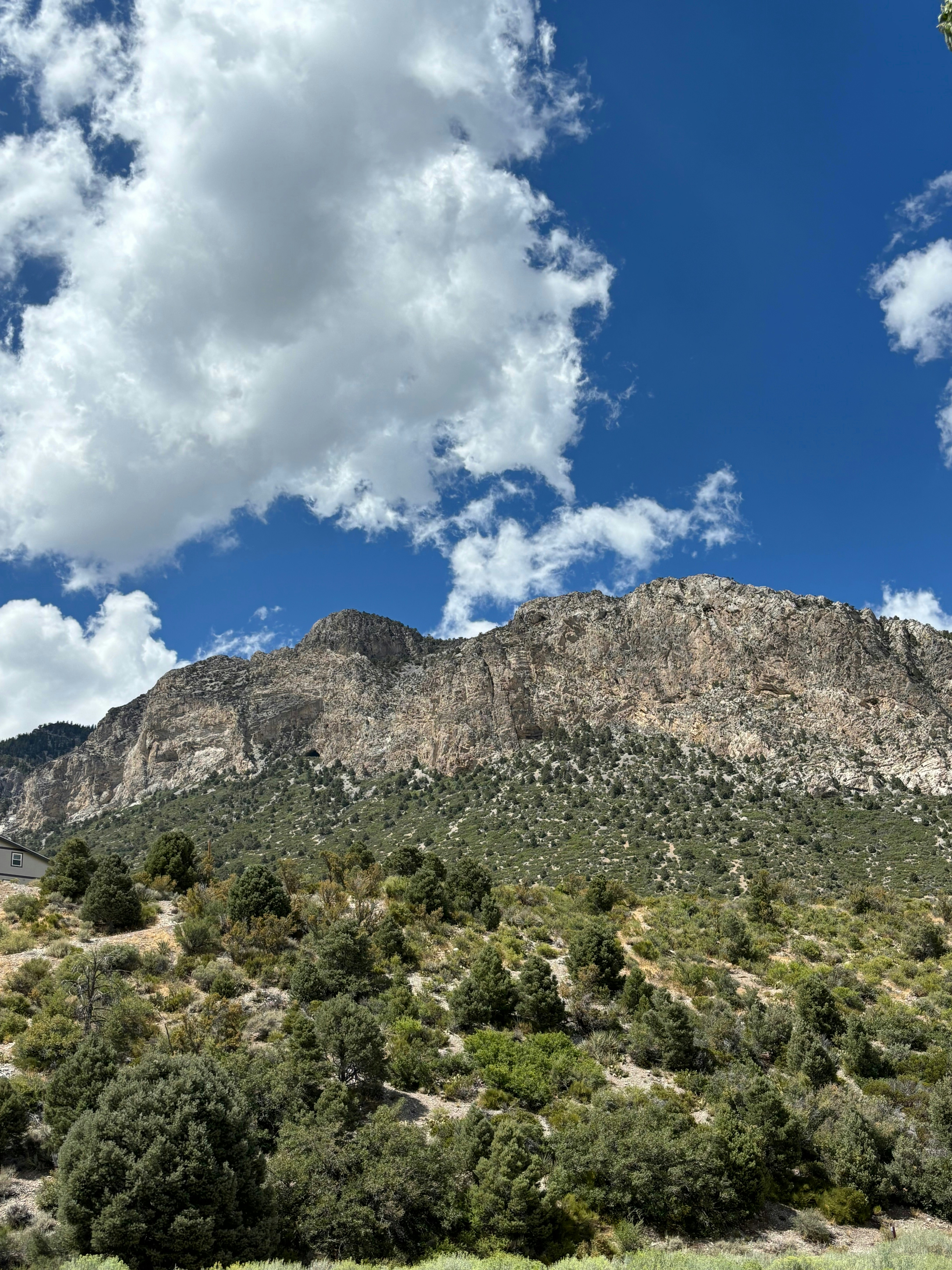 Photo by ludzurzy_yt