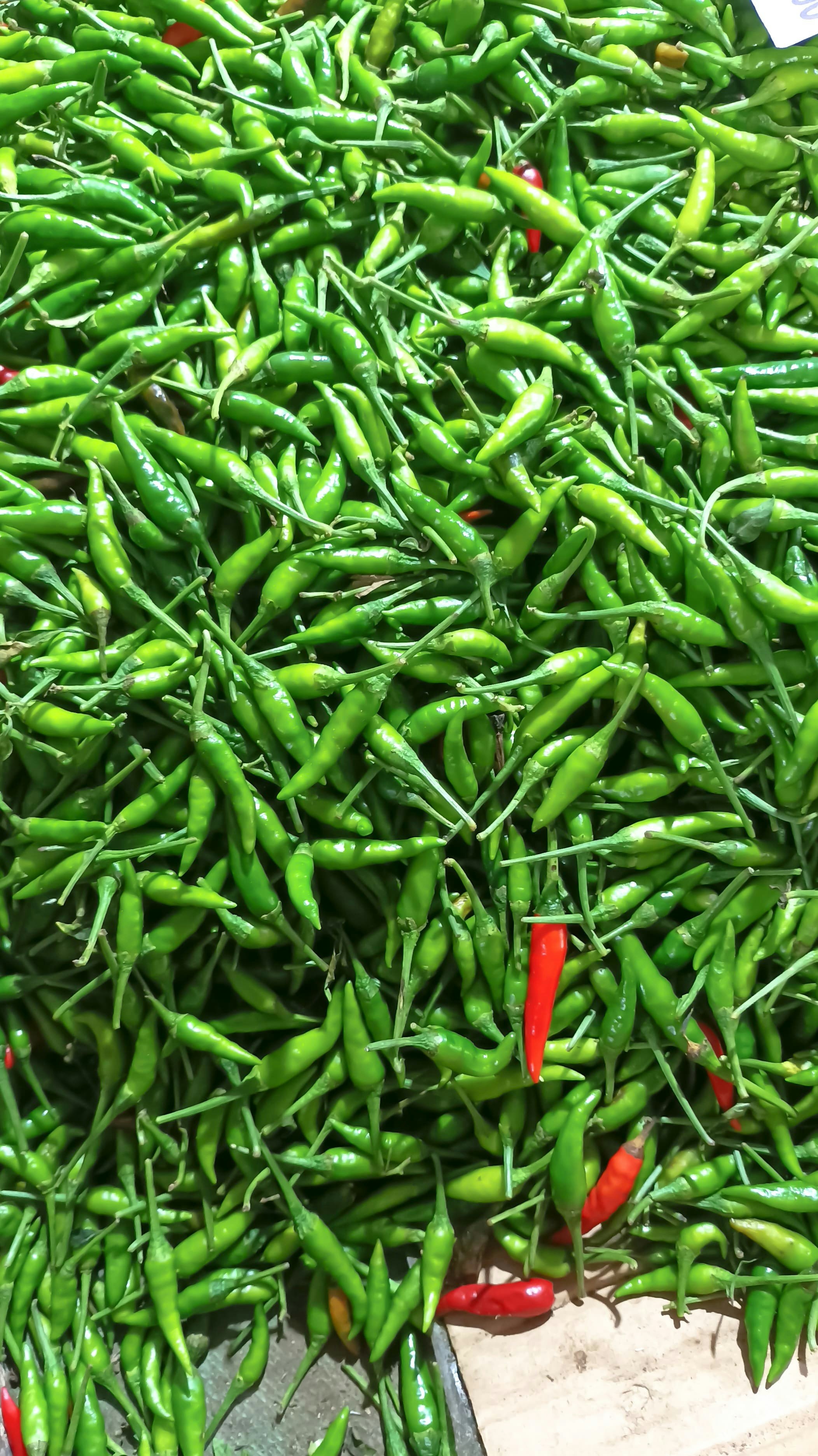 photo 1723955590468 e317e34e75e0?crop=entropy&cs=srgb&fm=jpg&ixid=M3wzMjkxMTJ8MHwxfHNlYXJjaHwyfHxCZXJiYWdhaSUyMHNheXVyYW4lMjBoaWphdSUyMGRhbGFtJTIwa2VyYW5qYW5nfGVufDB8fHx8MTczMjE0NjY0M3ww&ixlib=rb 4.0