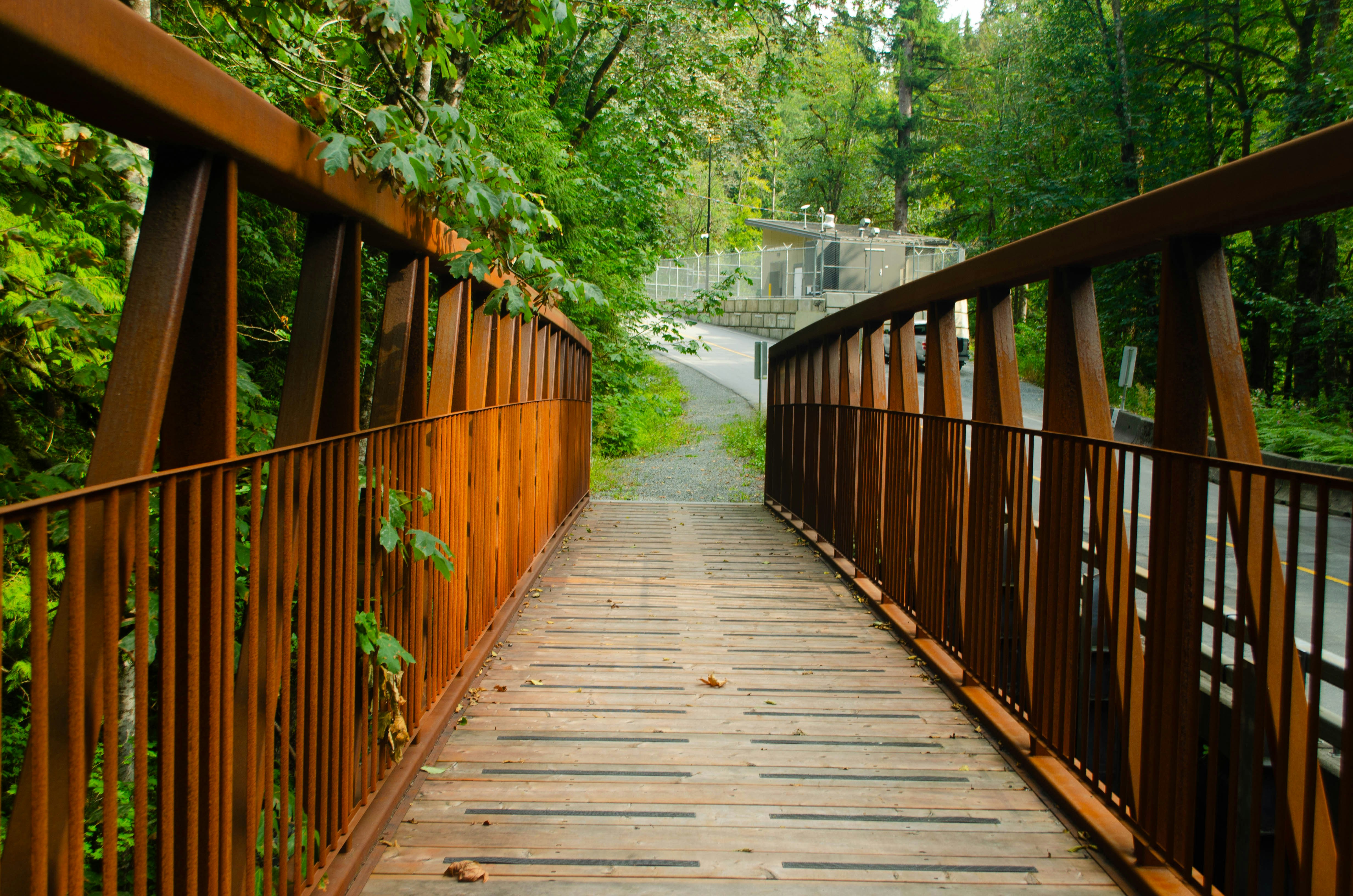 Photo by thedailystruggles