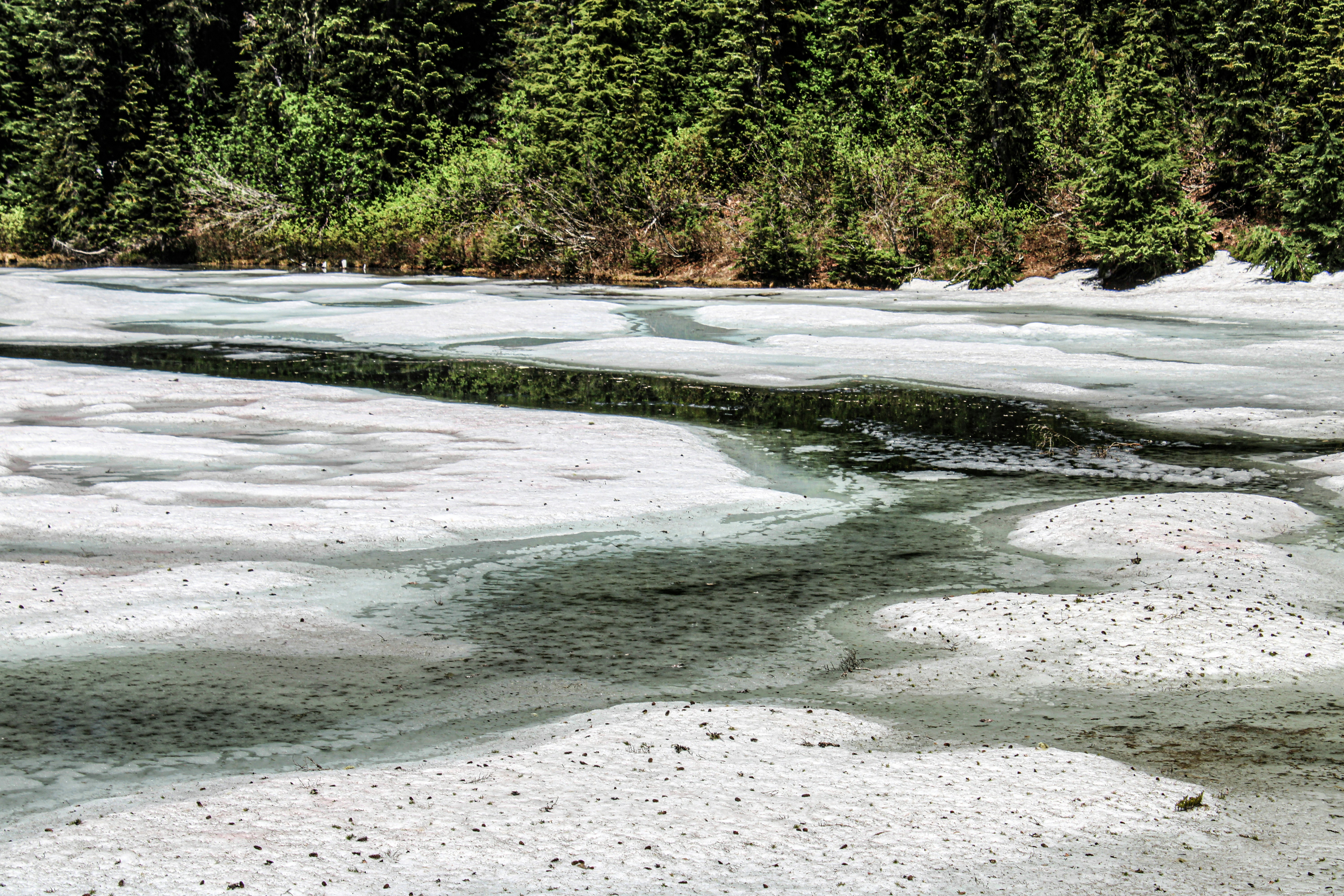 고단백 식단이 체질량 지수에 미치는 5가지 영향