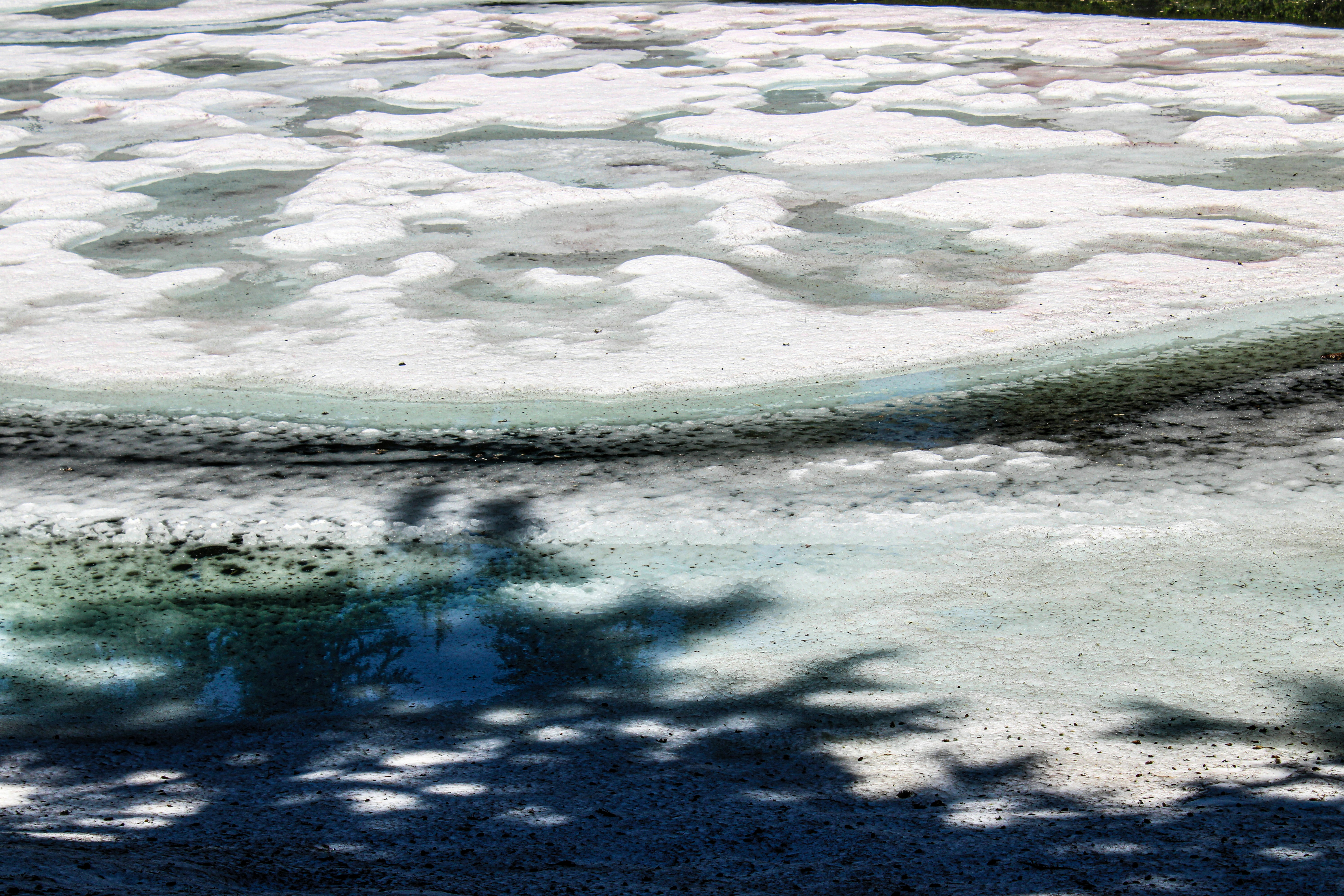 Photo by prphotography262