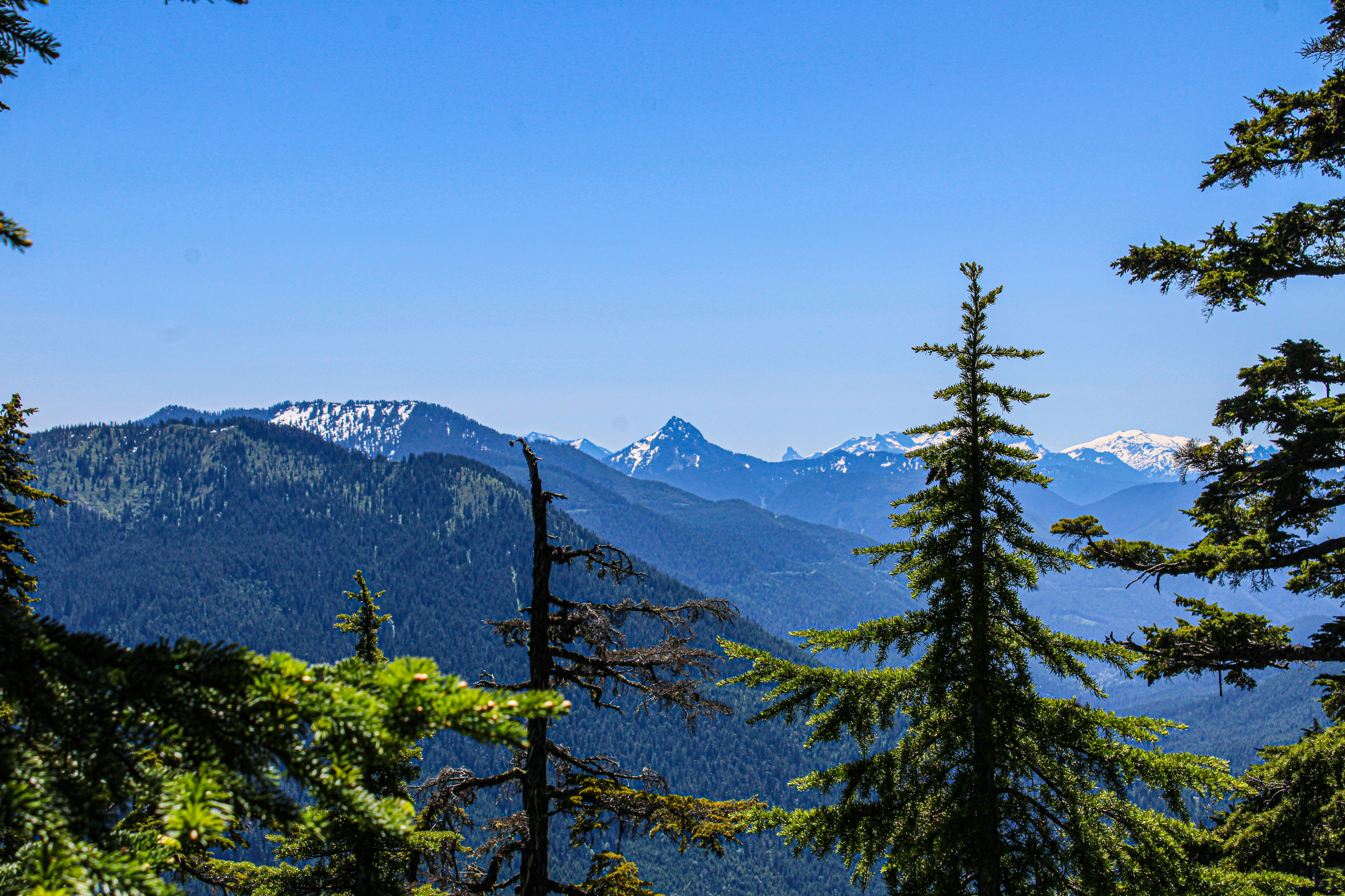 Photo by prphotography262