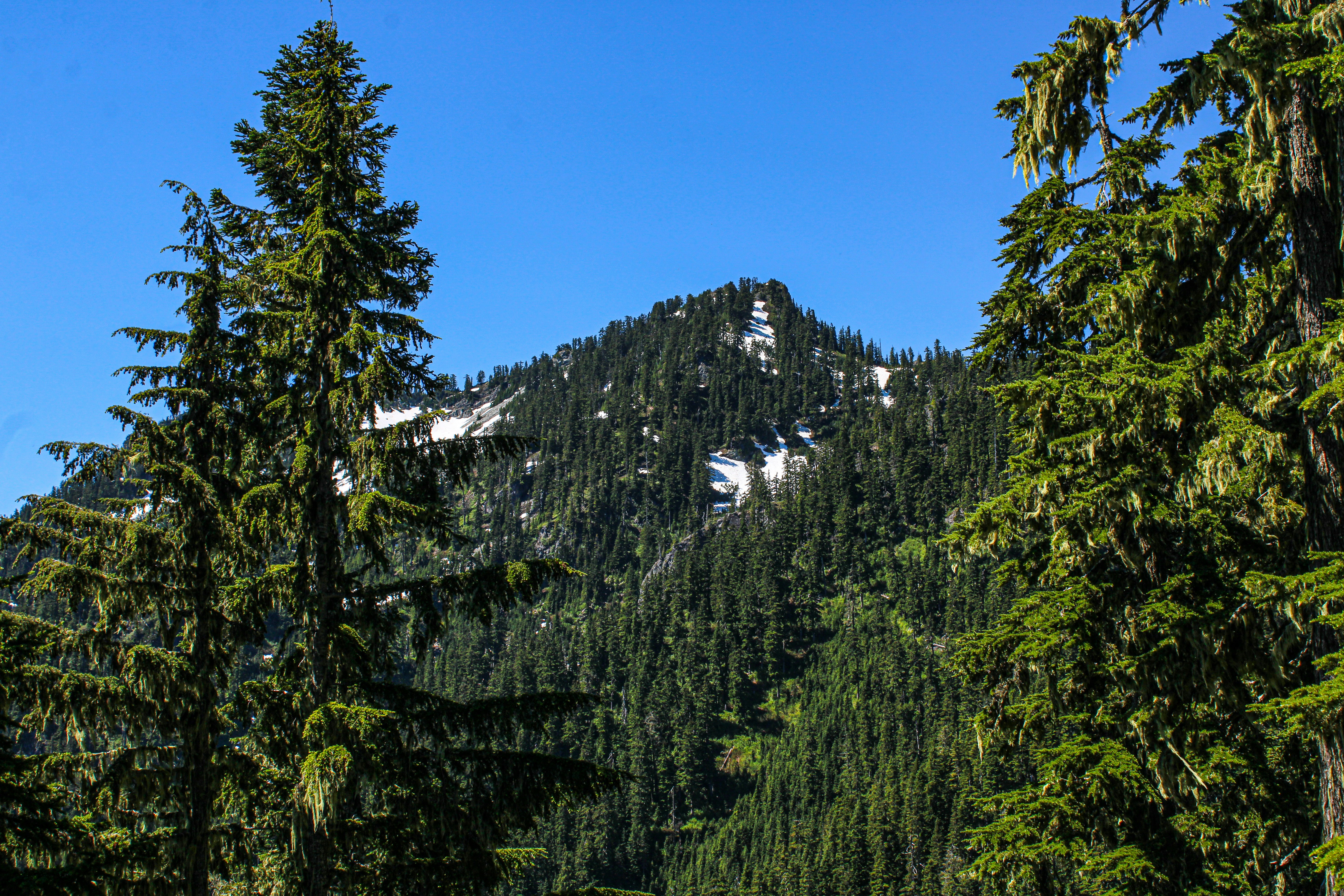 Photo by prphotography262