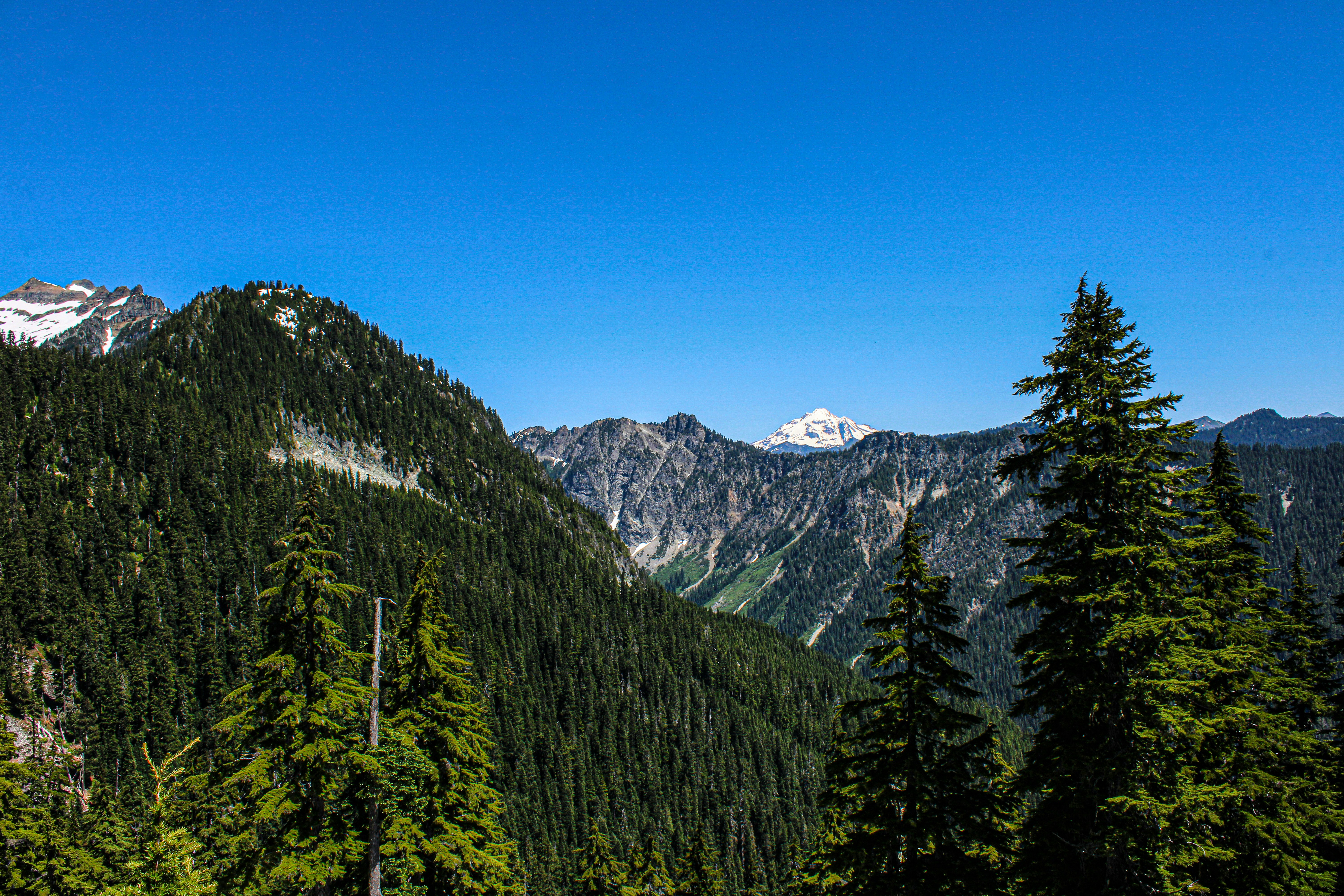 Photo by prphotography262