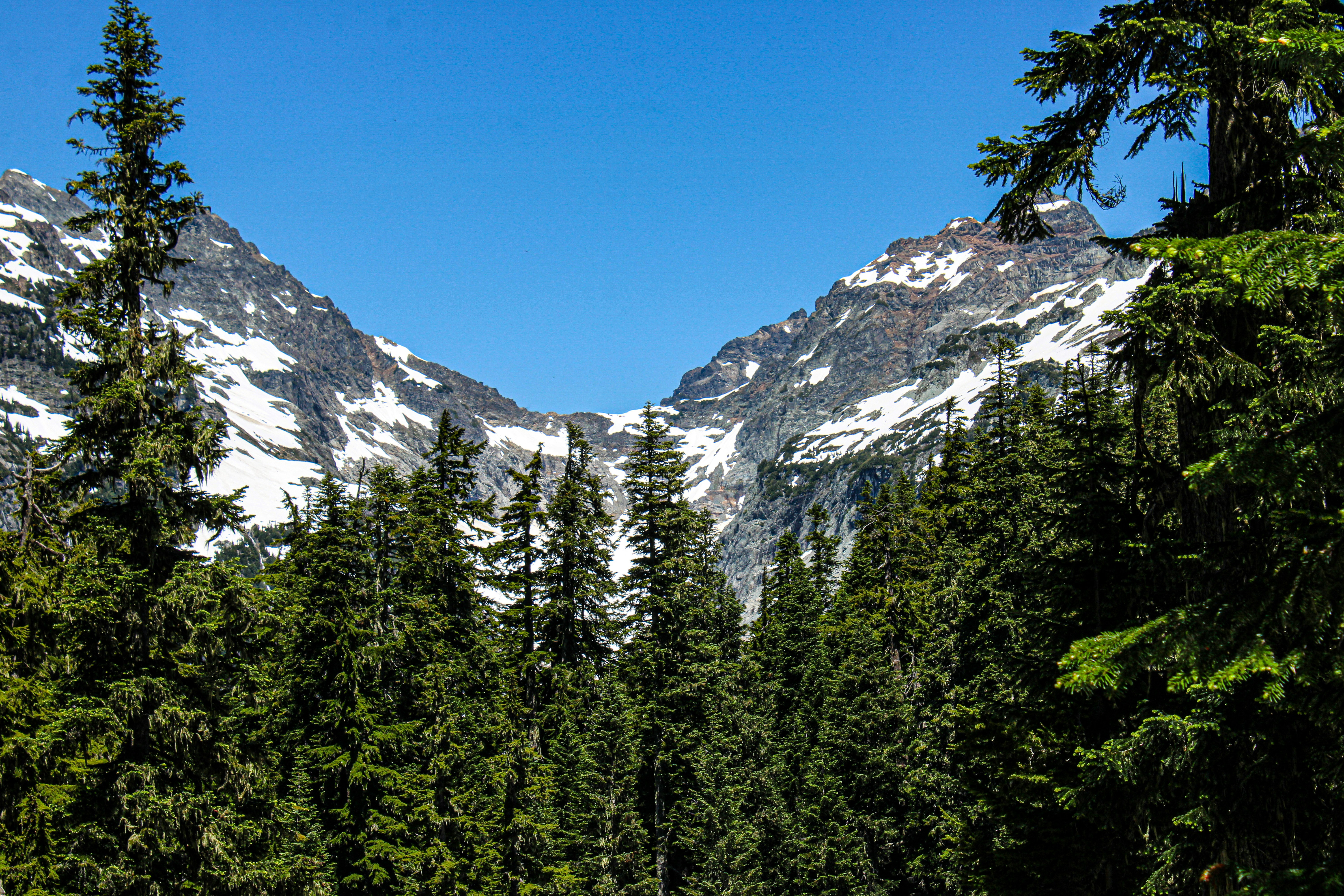 Photo by prphotography262