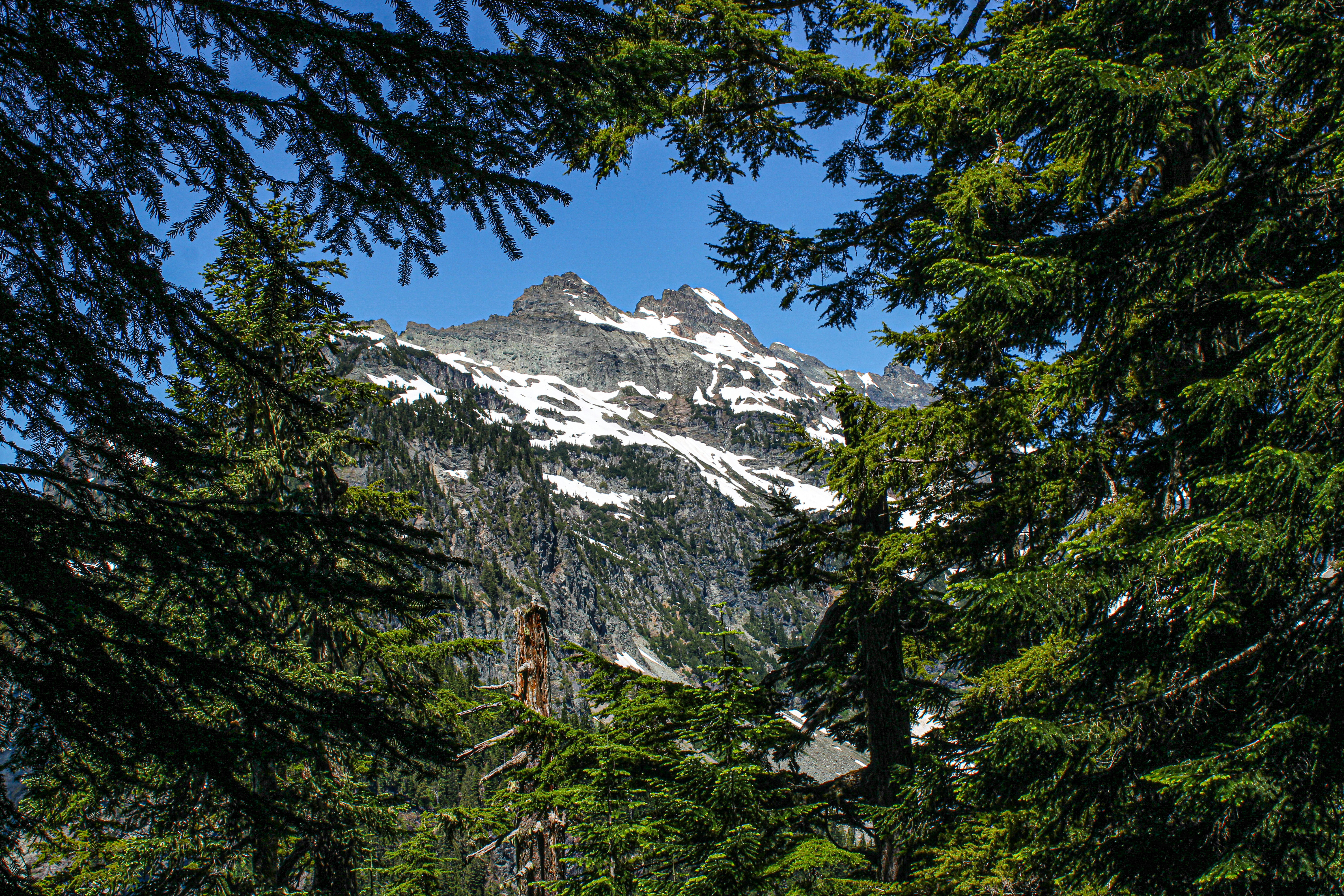 Photo by prphotography262