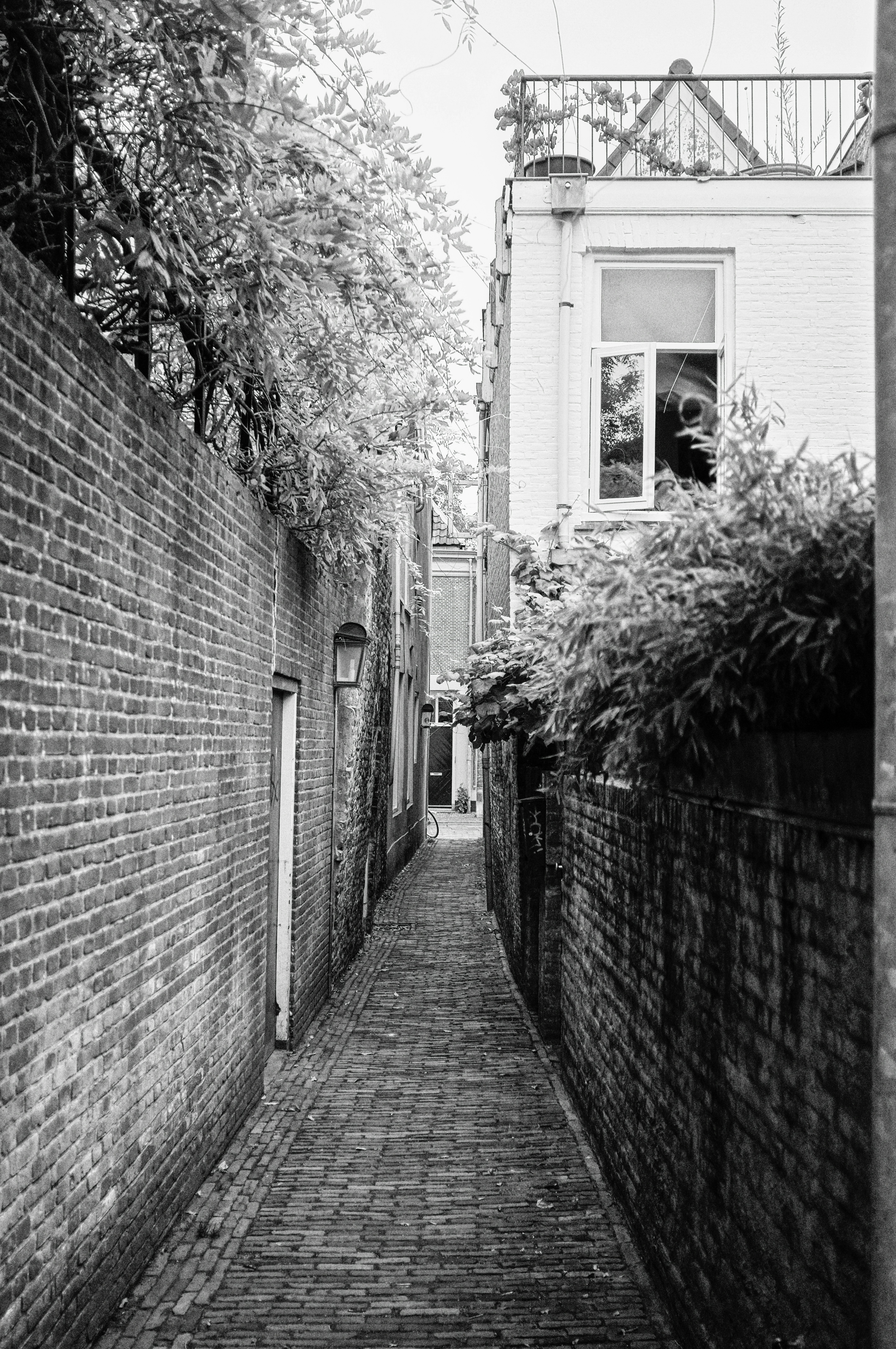 Photo by jonathankslim