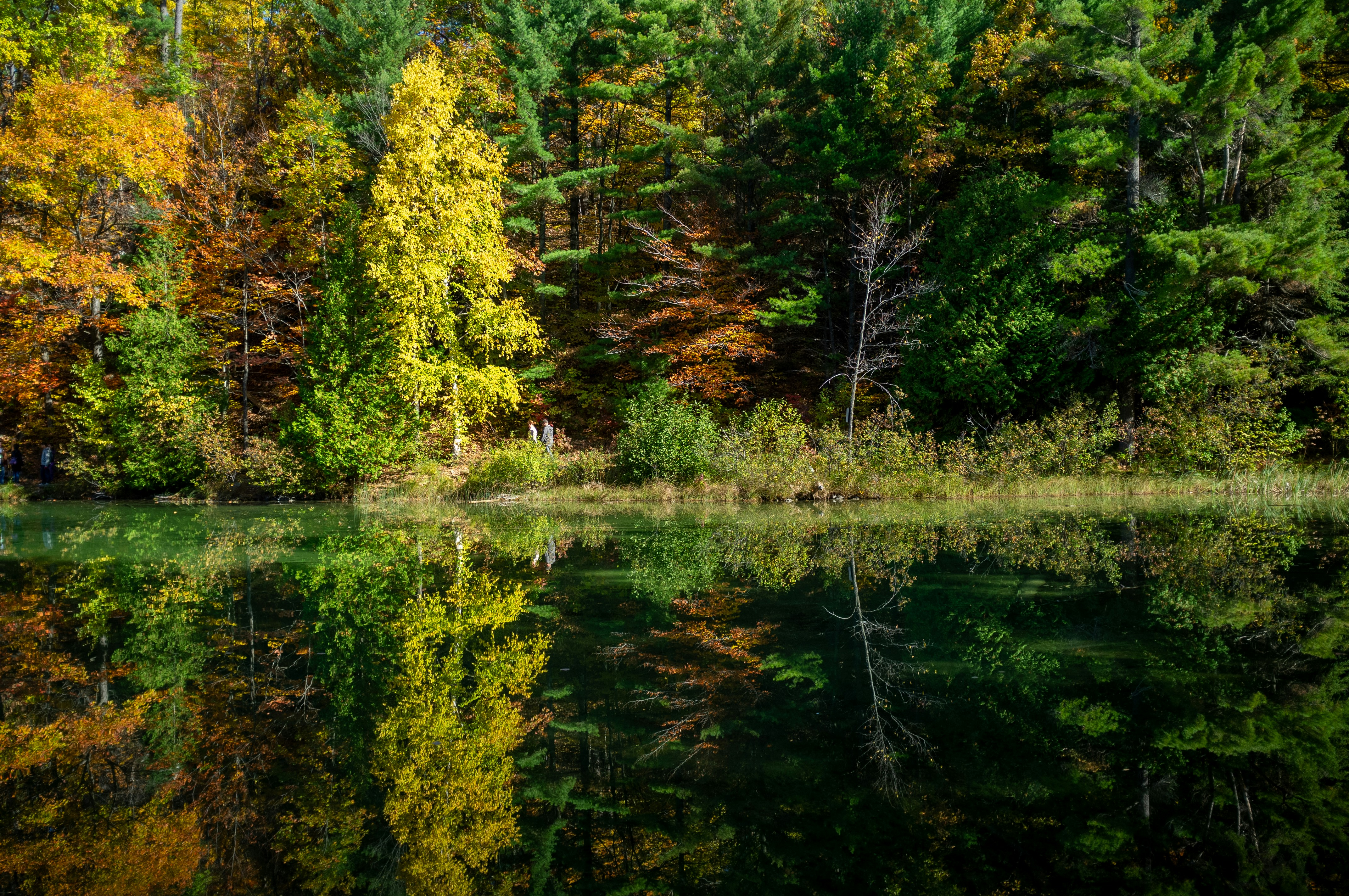 Photo by jonathankslim