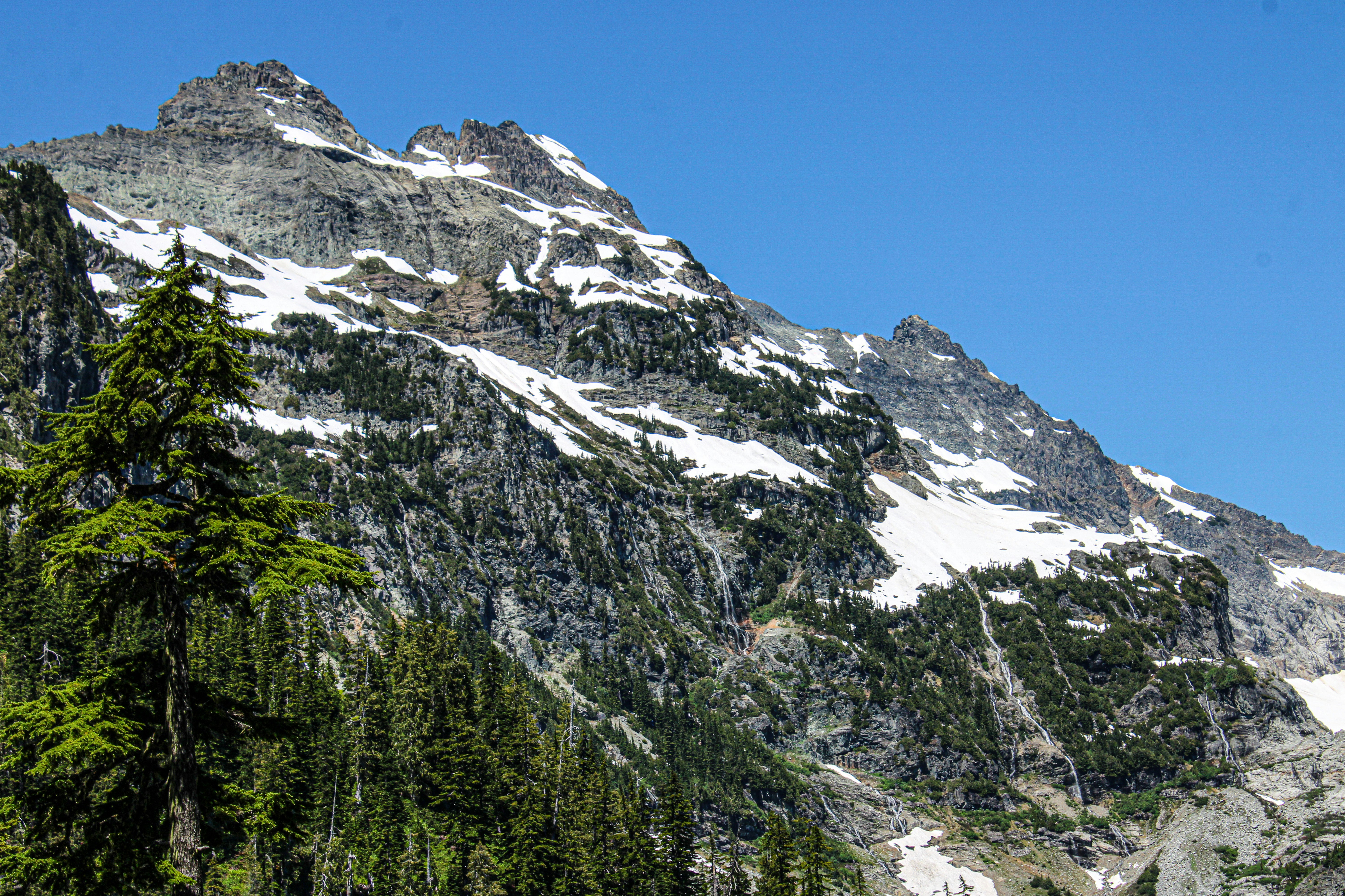 Photo by prphotography262