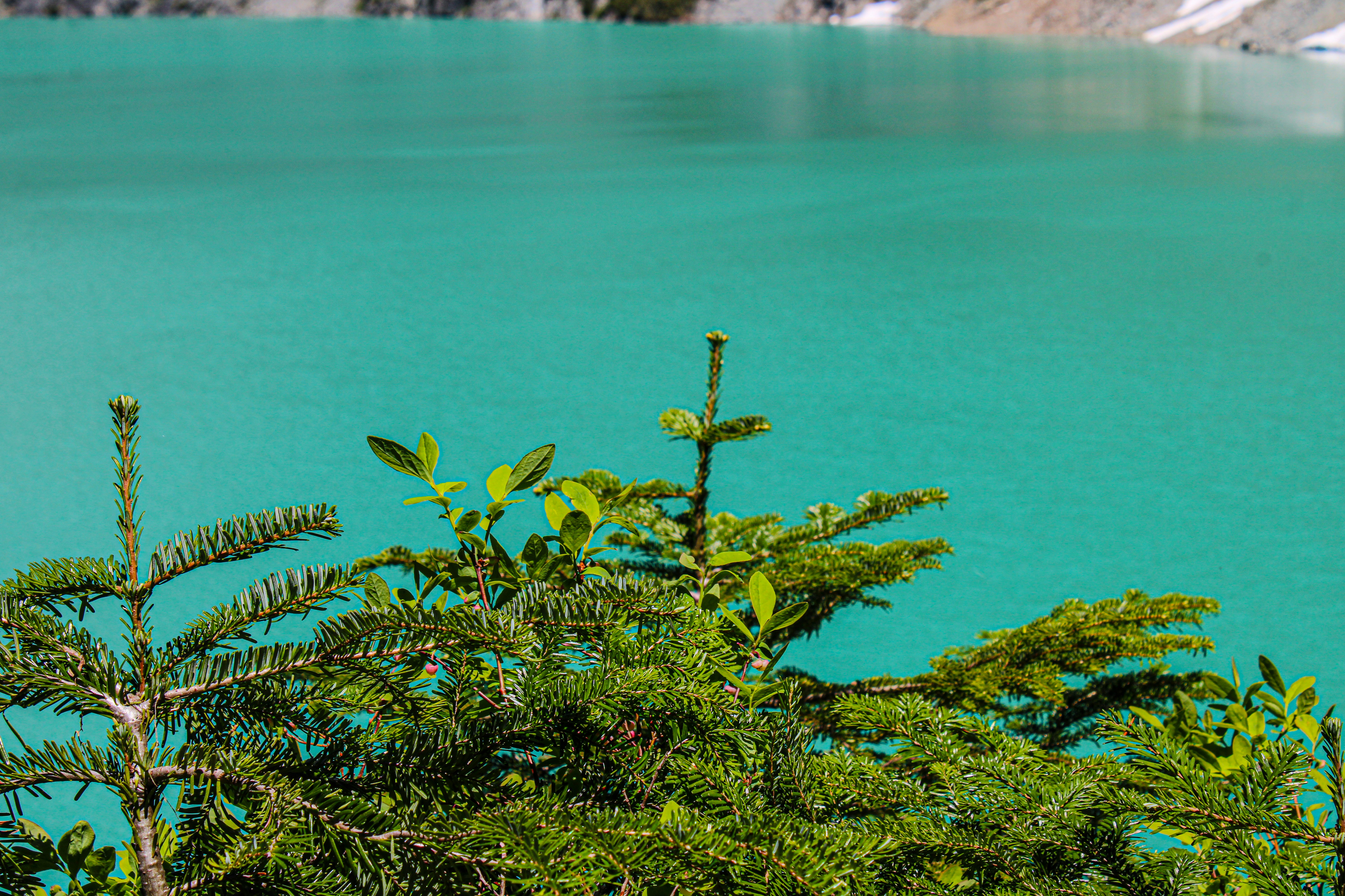 Photo by prphotography262