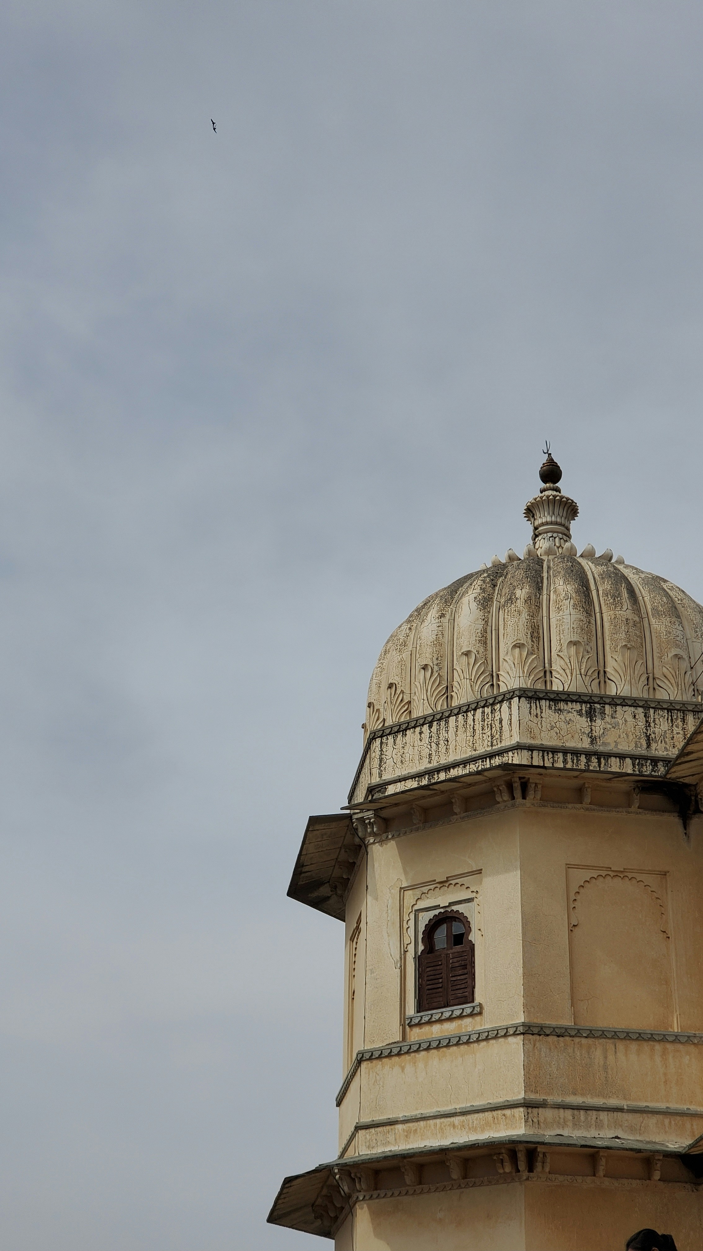 Photo by _rajdeepsinh_