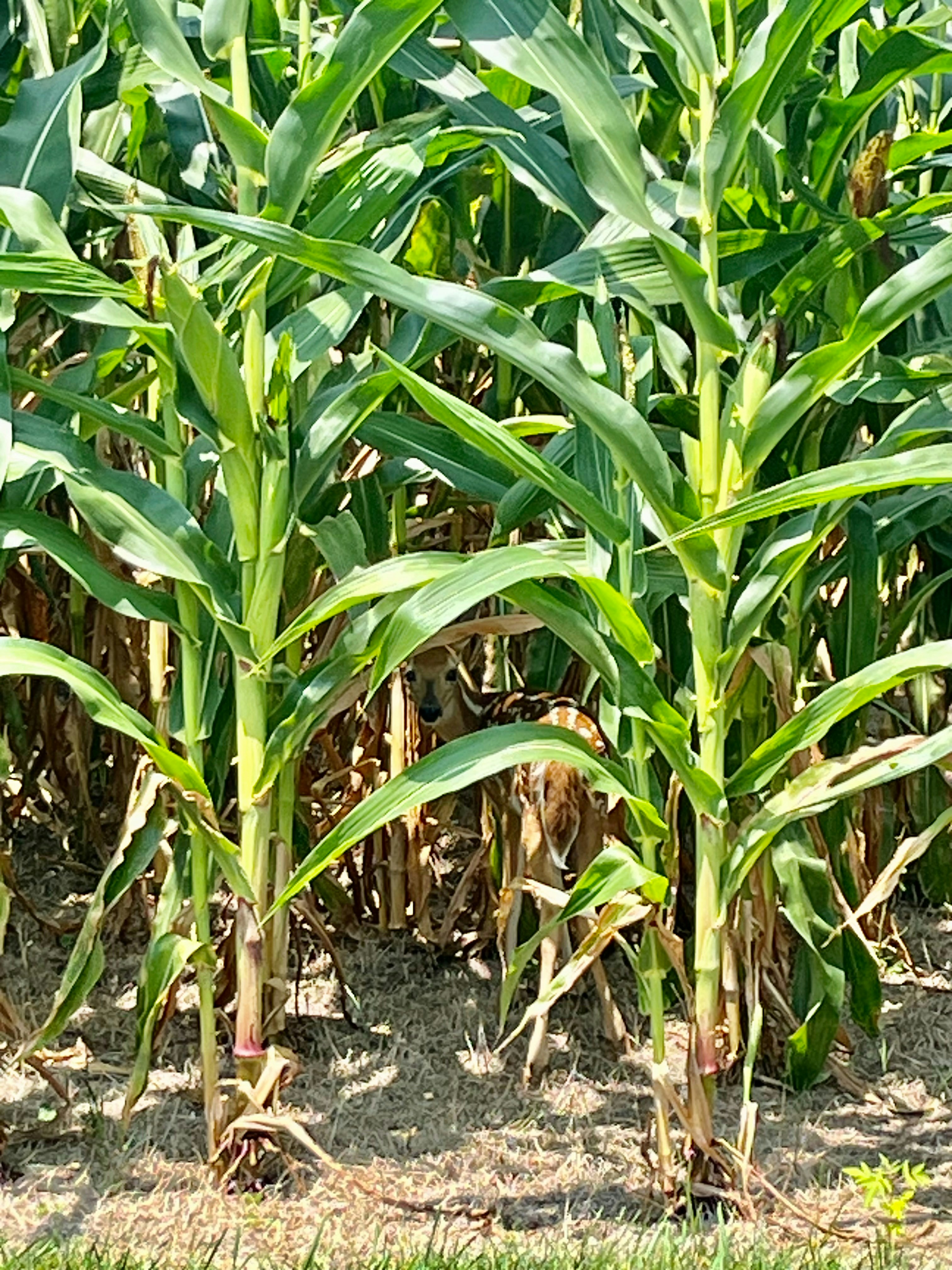 Photo by parthnandania