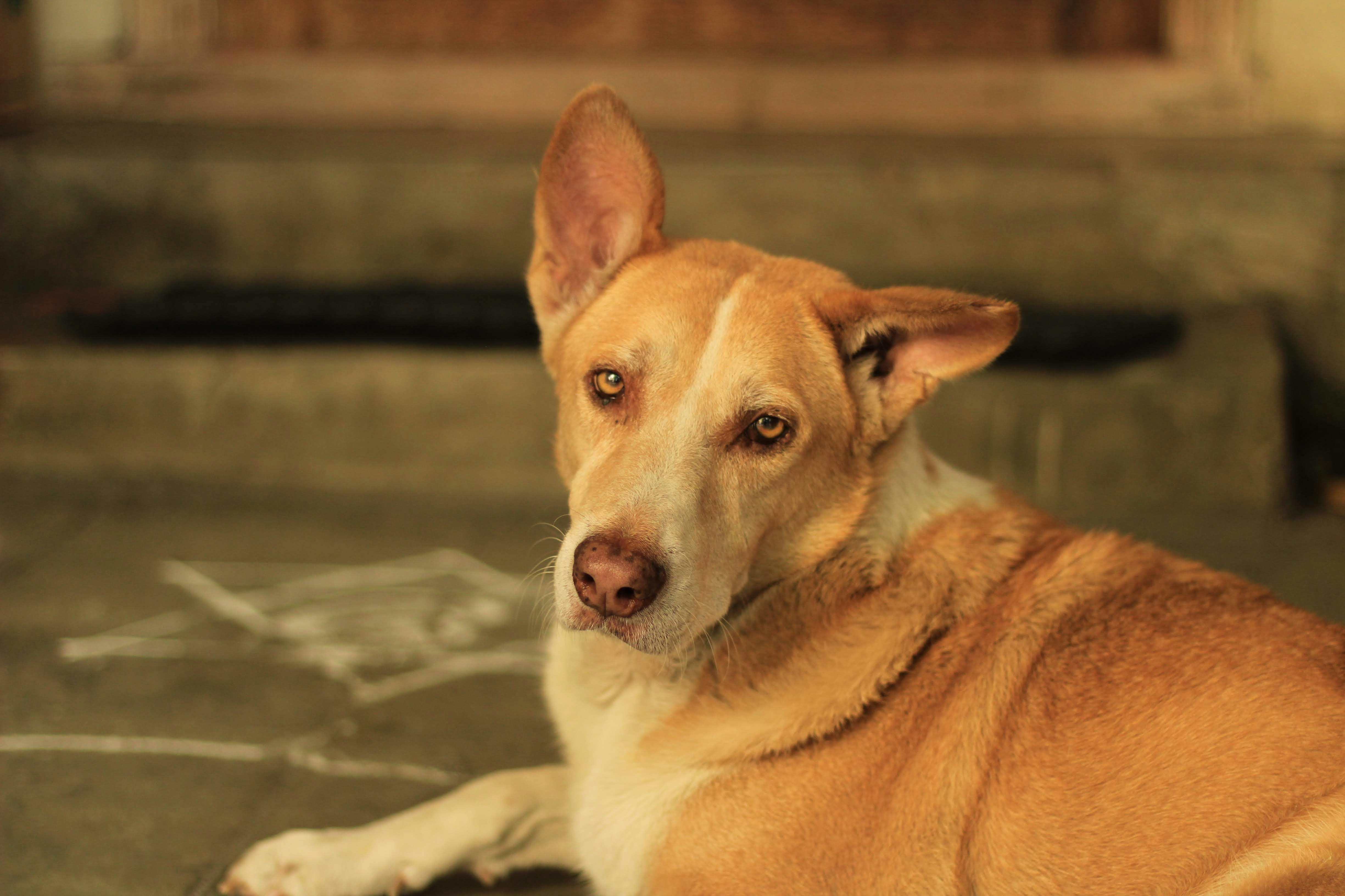 Photo by aditya_sethia_97