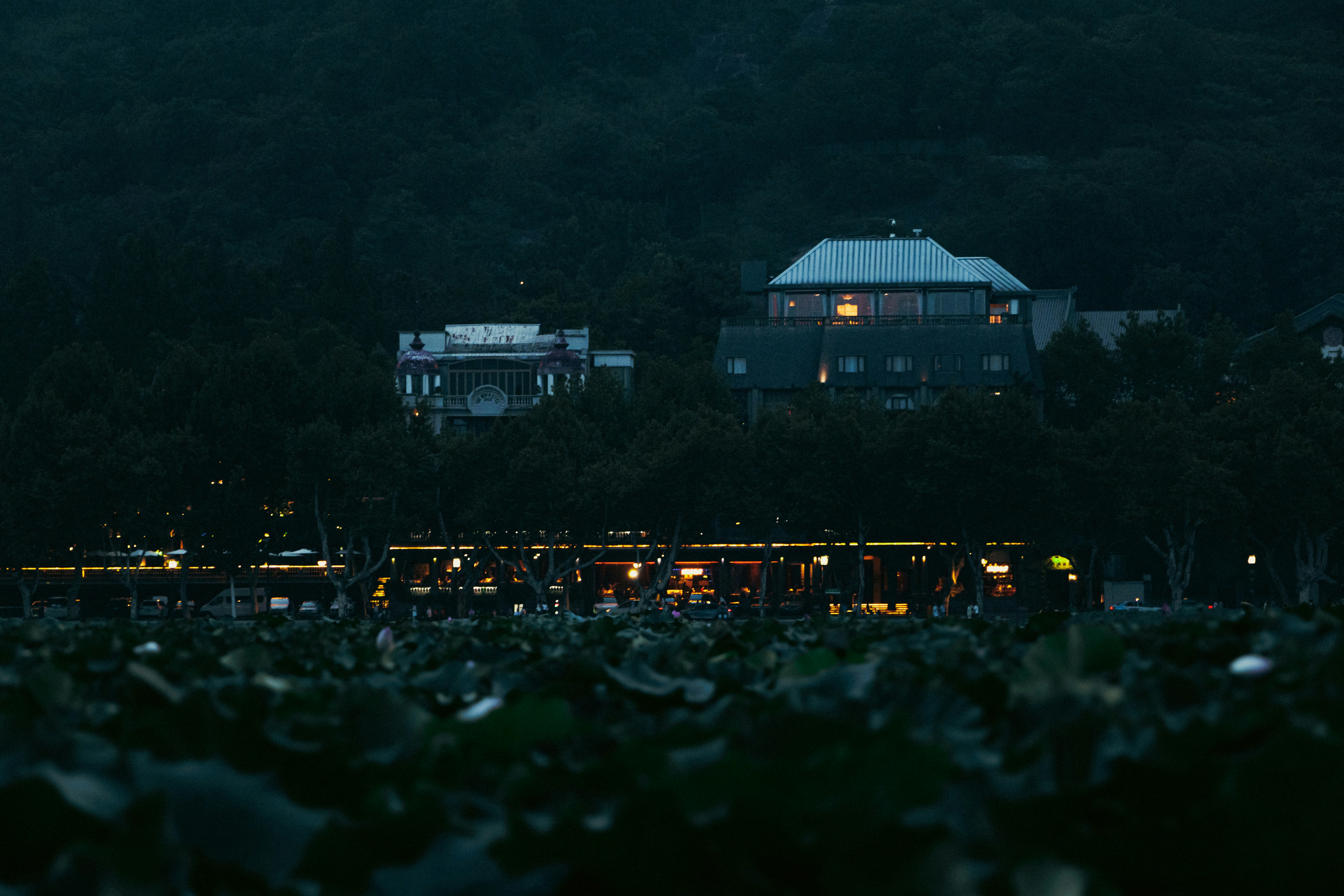 Nightlife Guide to Minoh (2026)