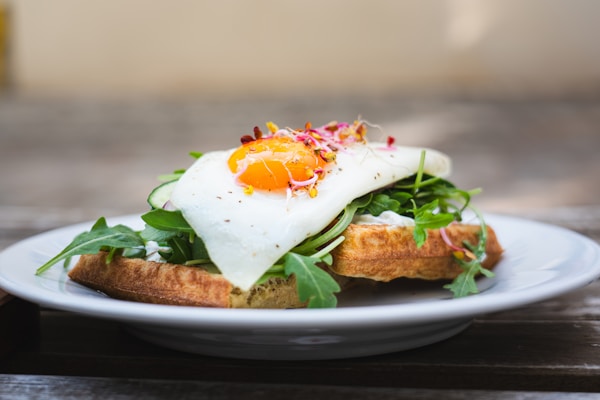 Plated food on tableware