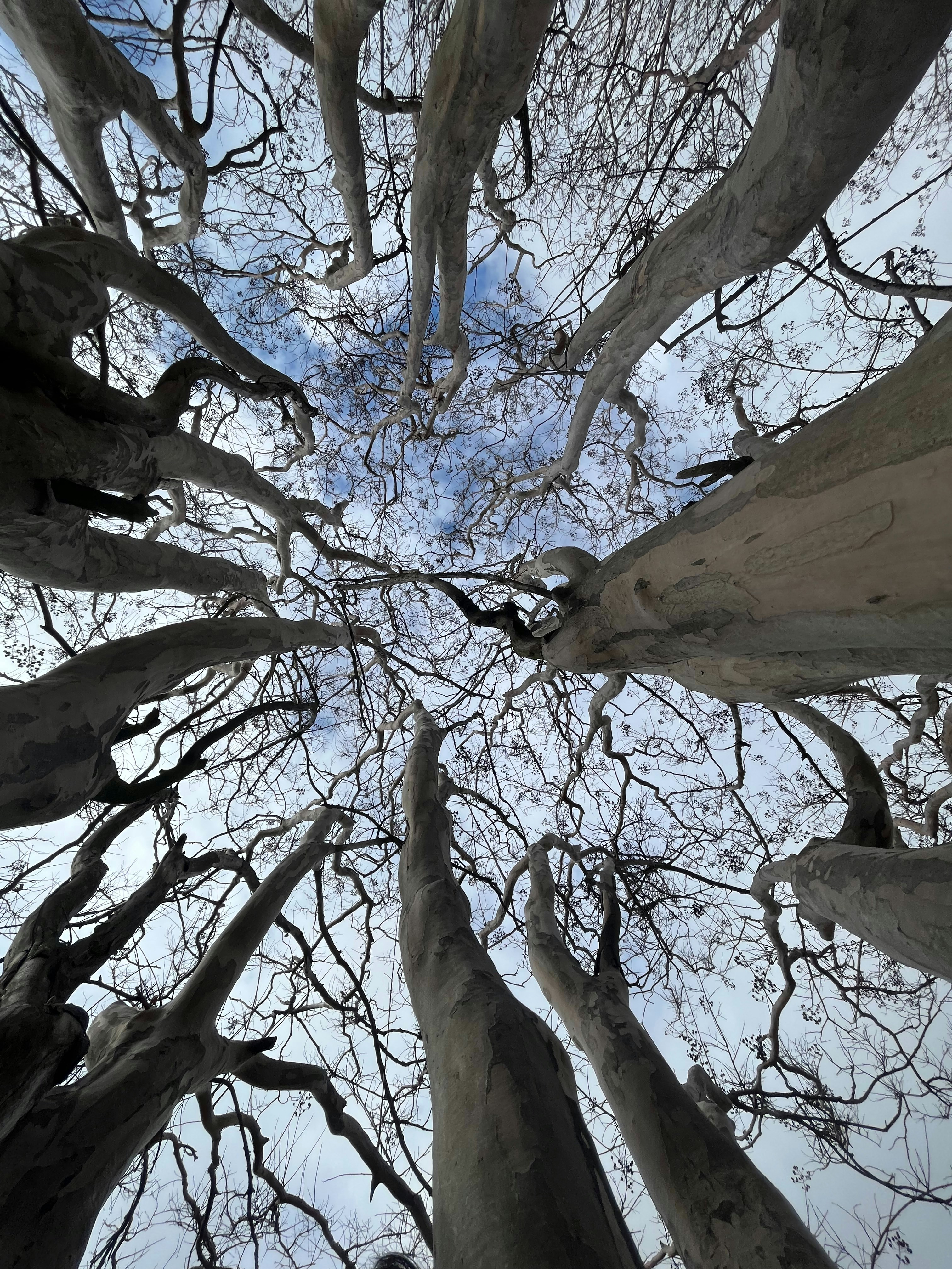 Photo by parthnandania