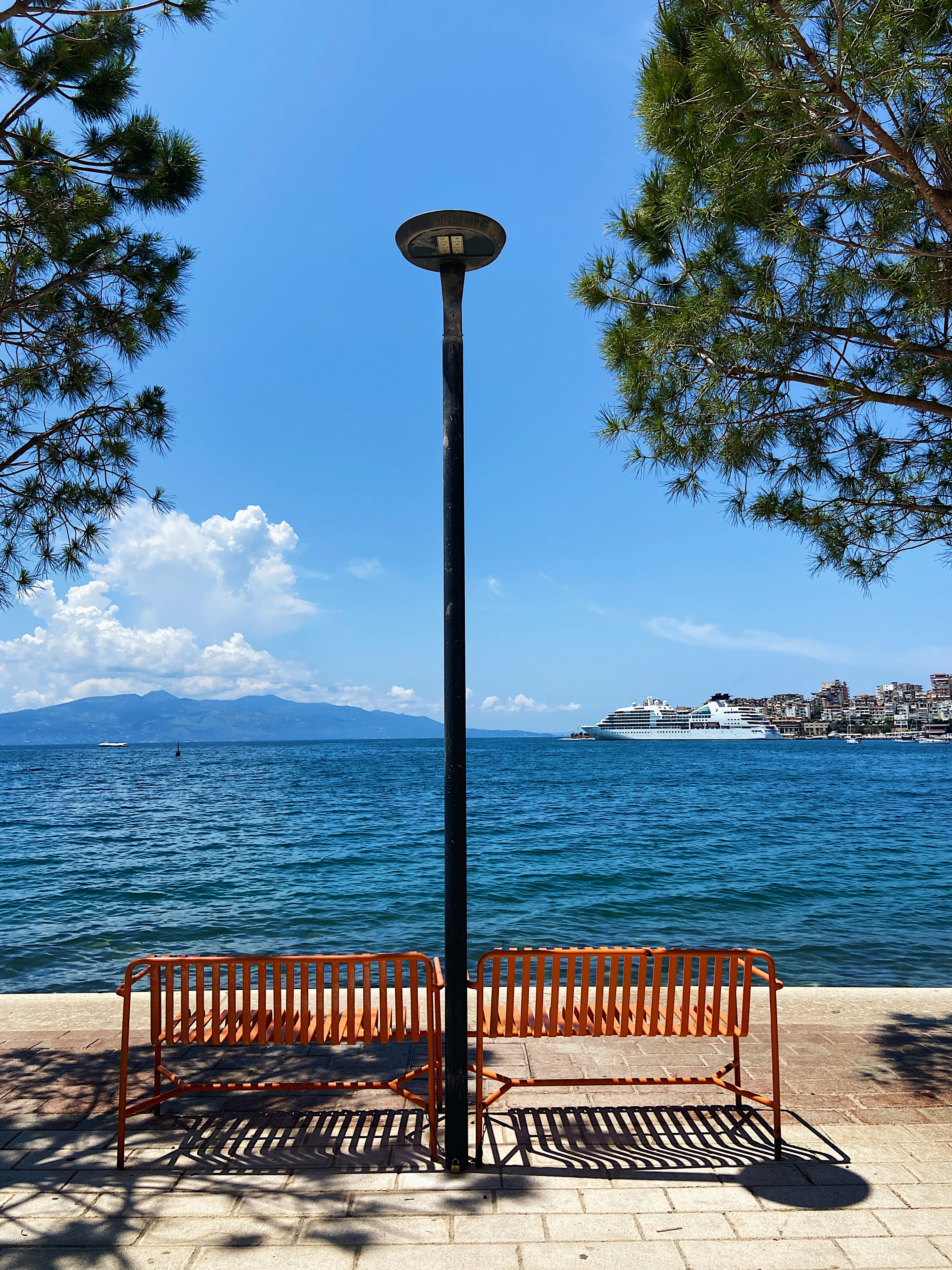 Cover of Navigating Lawsuits