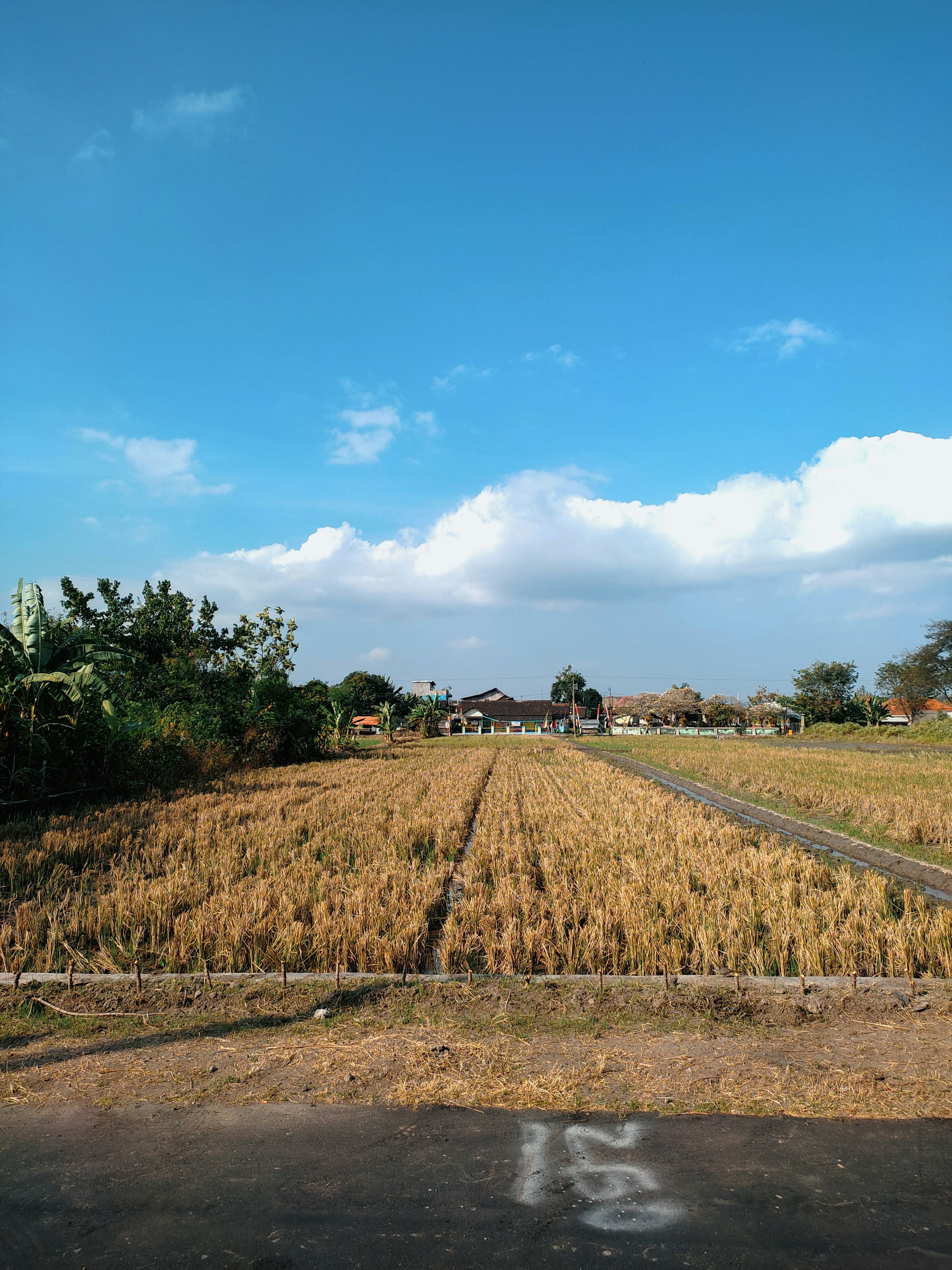 Photo by firdausraginda