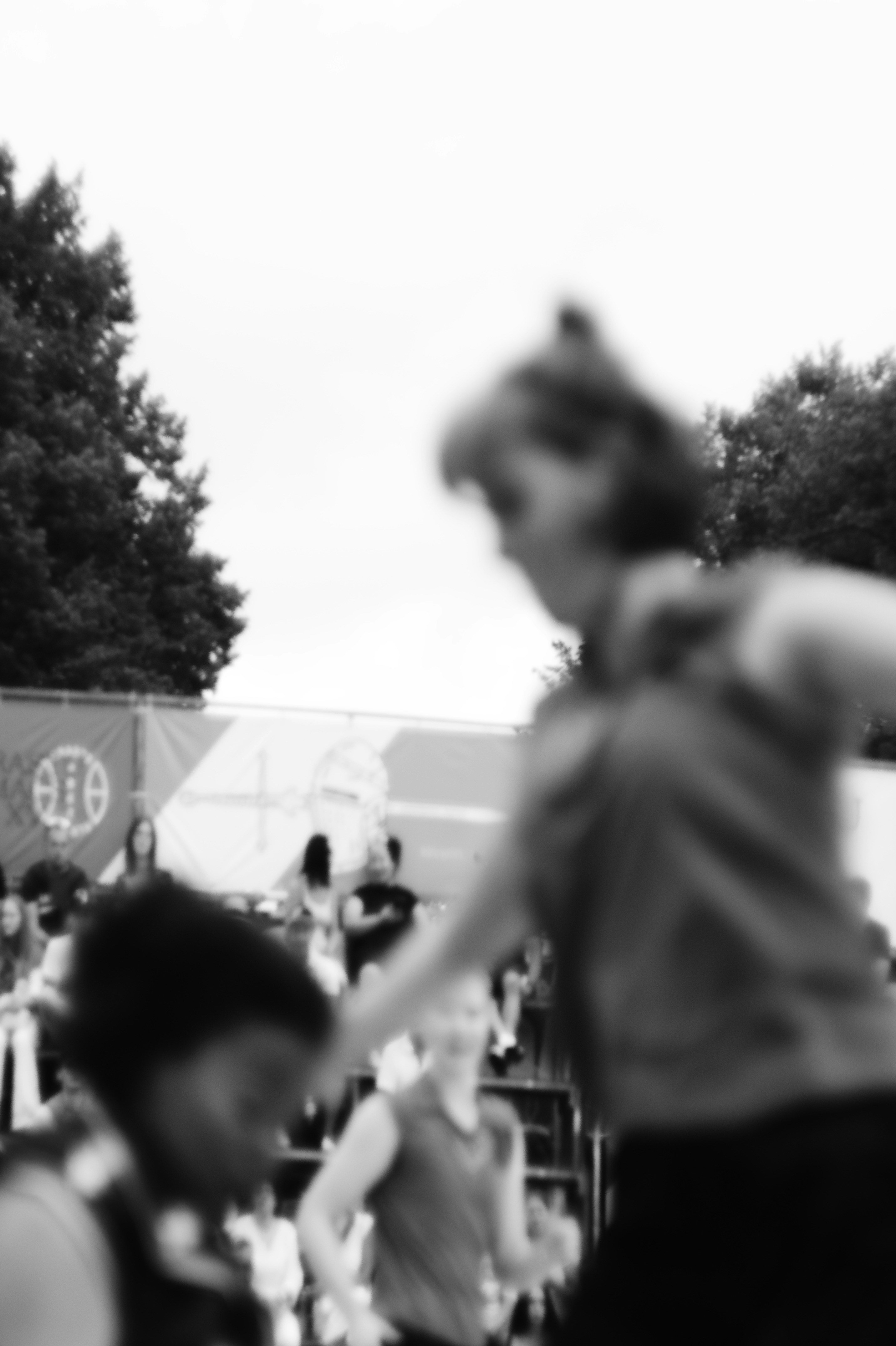 A group of people standing on top of a lush green field