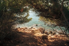 A view of a body of water through some trees