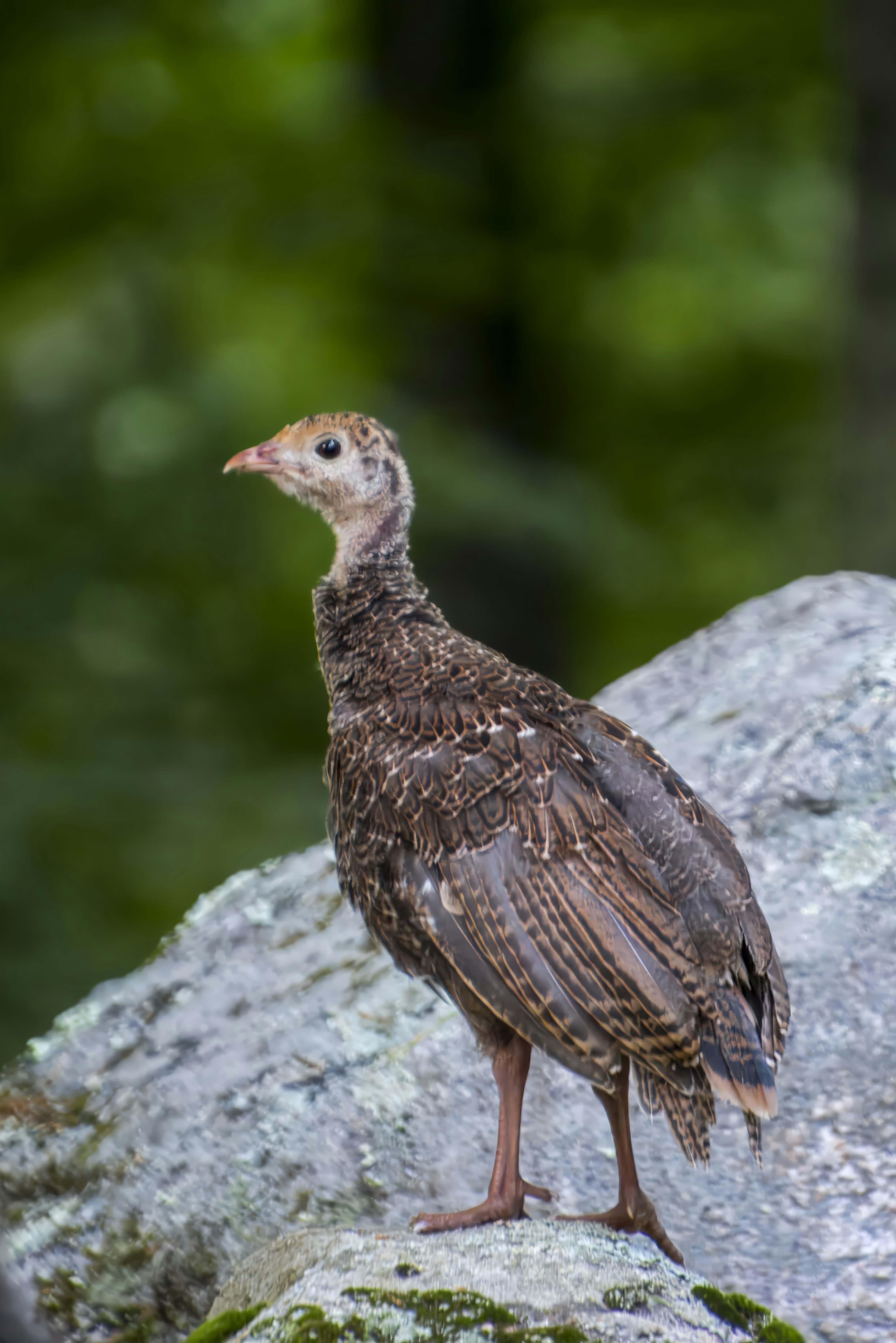 Photo by nh_landscapes