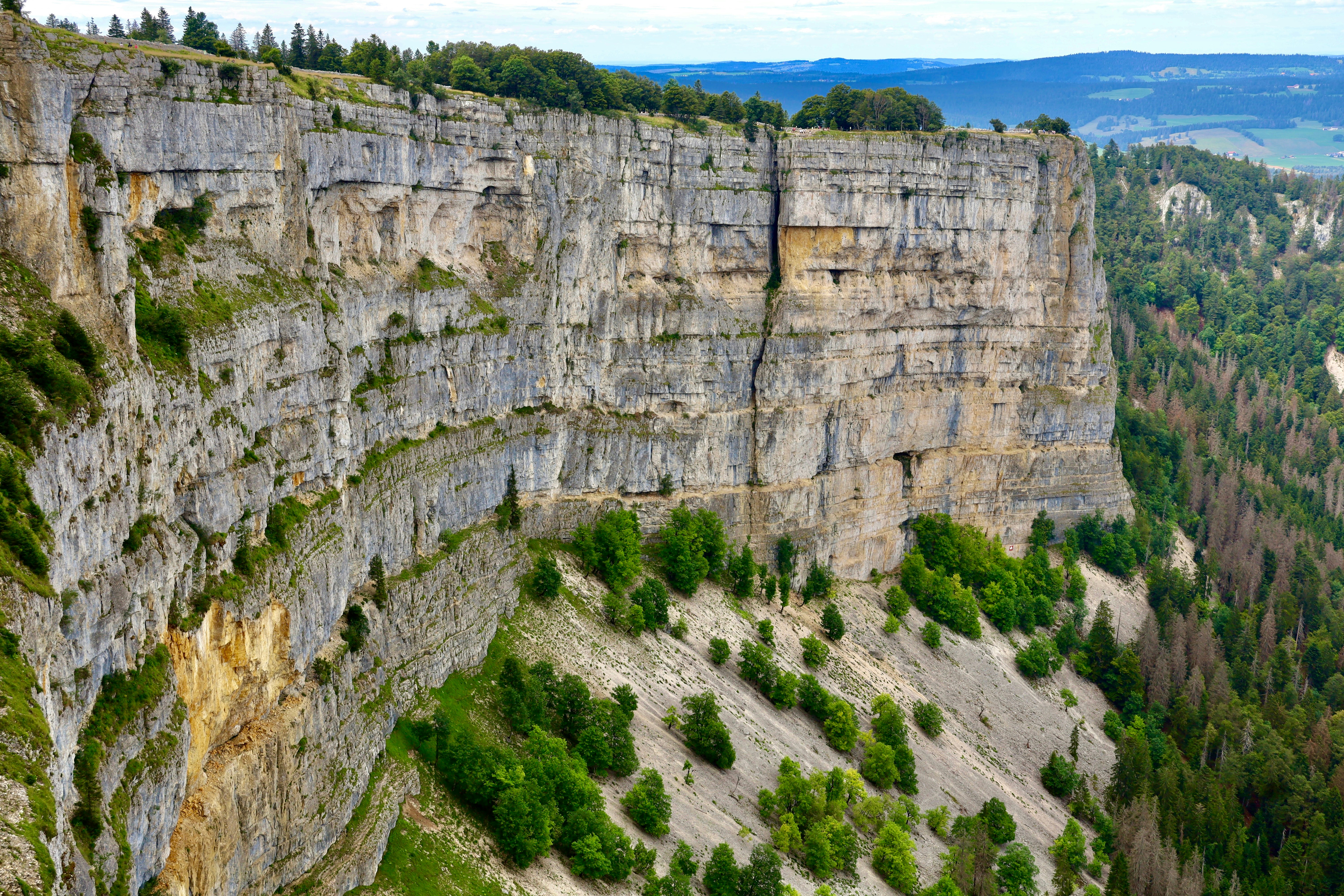 Photo by maximilian_brand