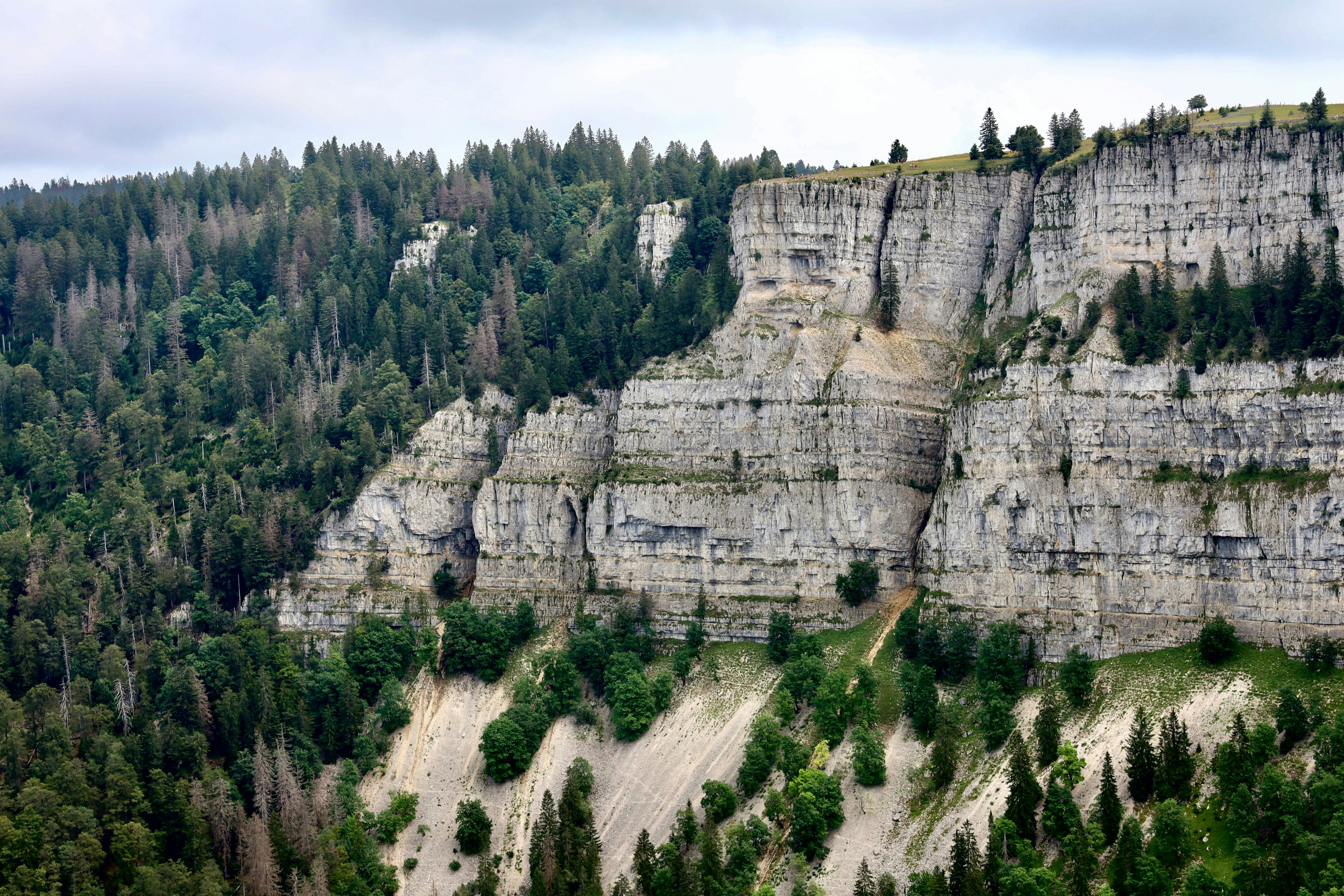 Photo by maximilian_brand