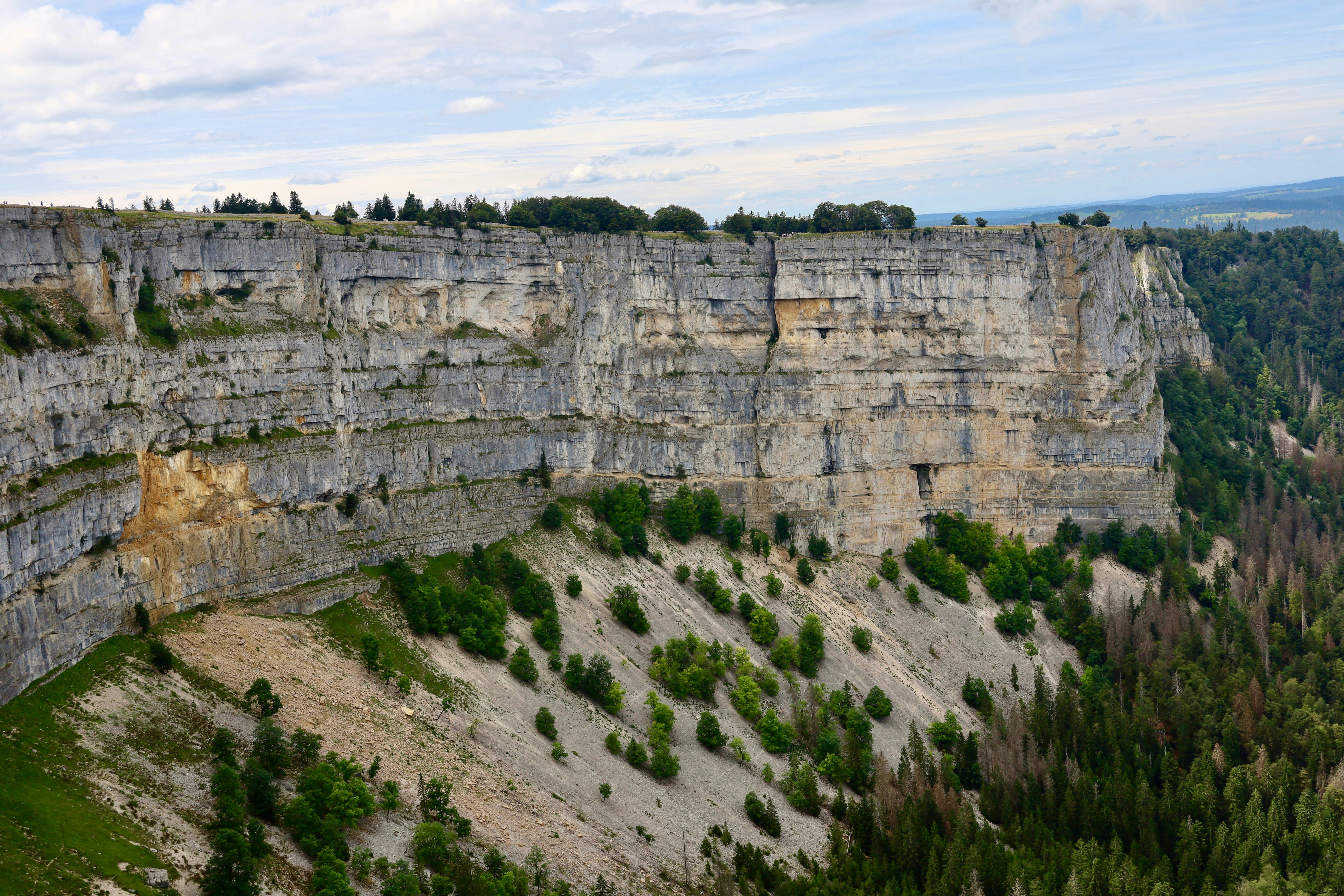 Photo by maximilian_brand