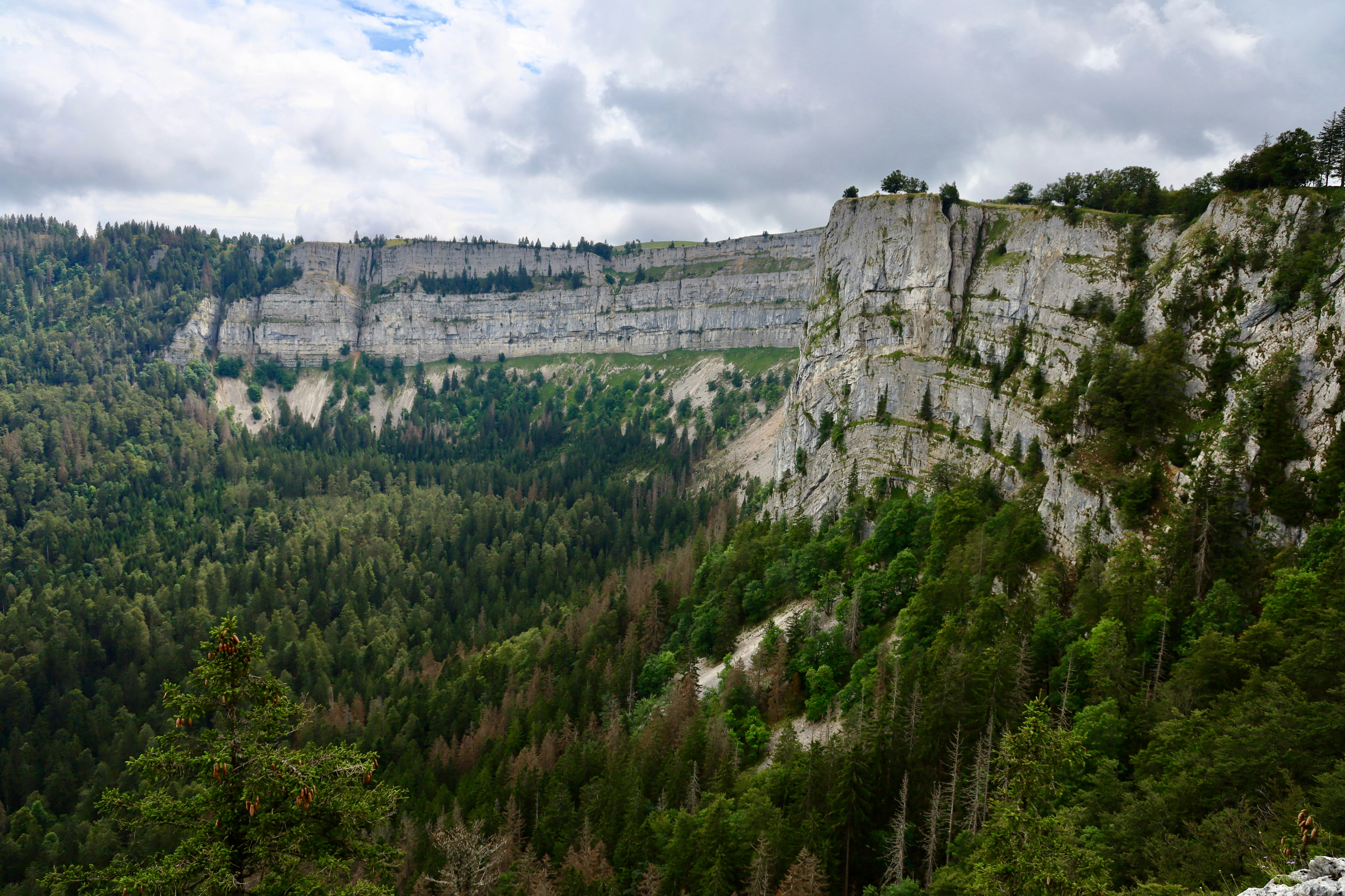 Photo by maximilian_brand