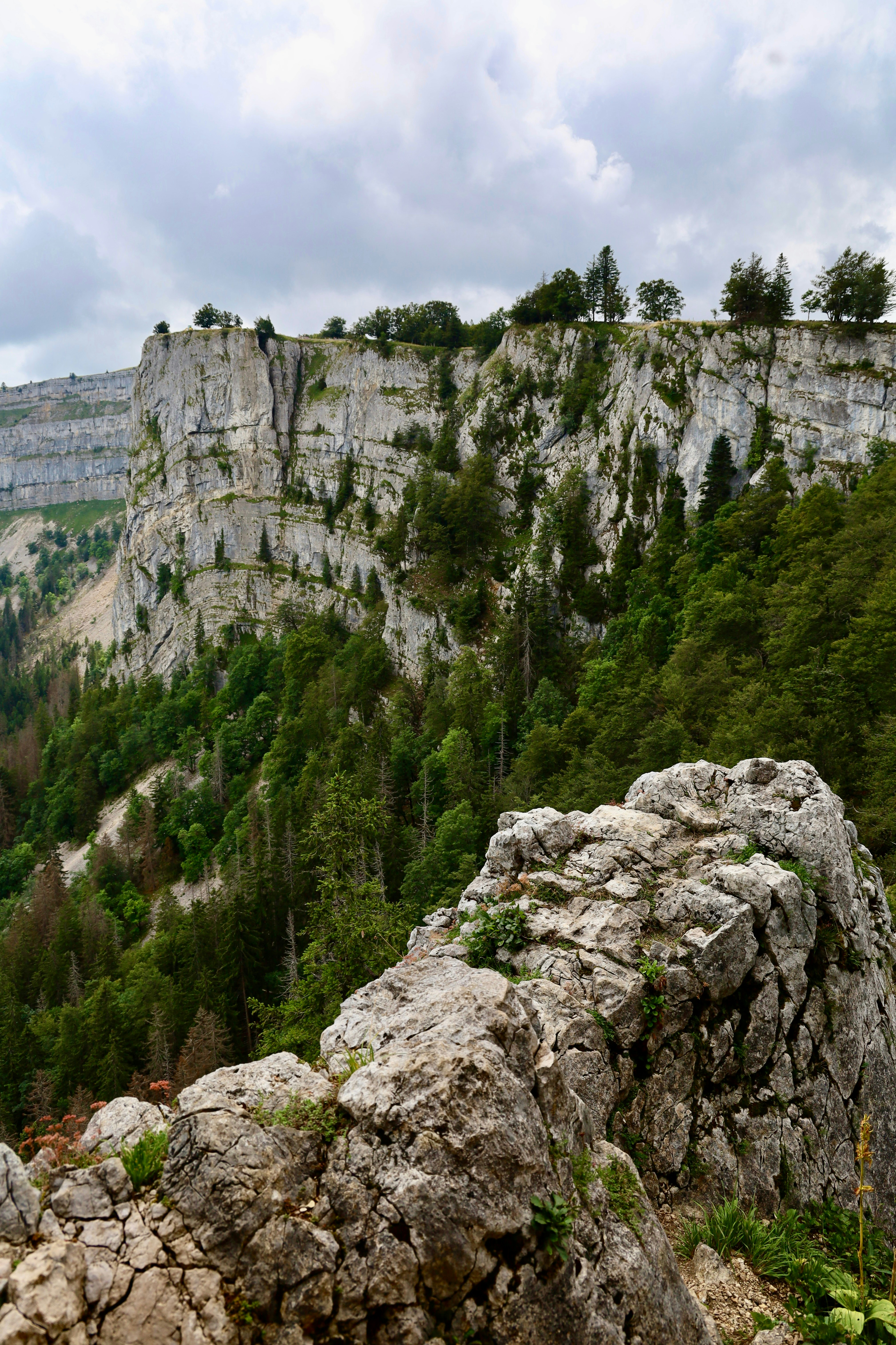 Photo by maximilian_brand