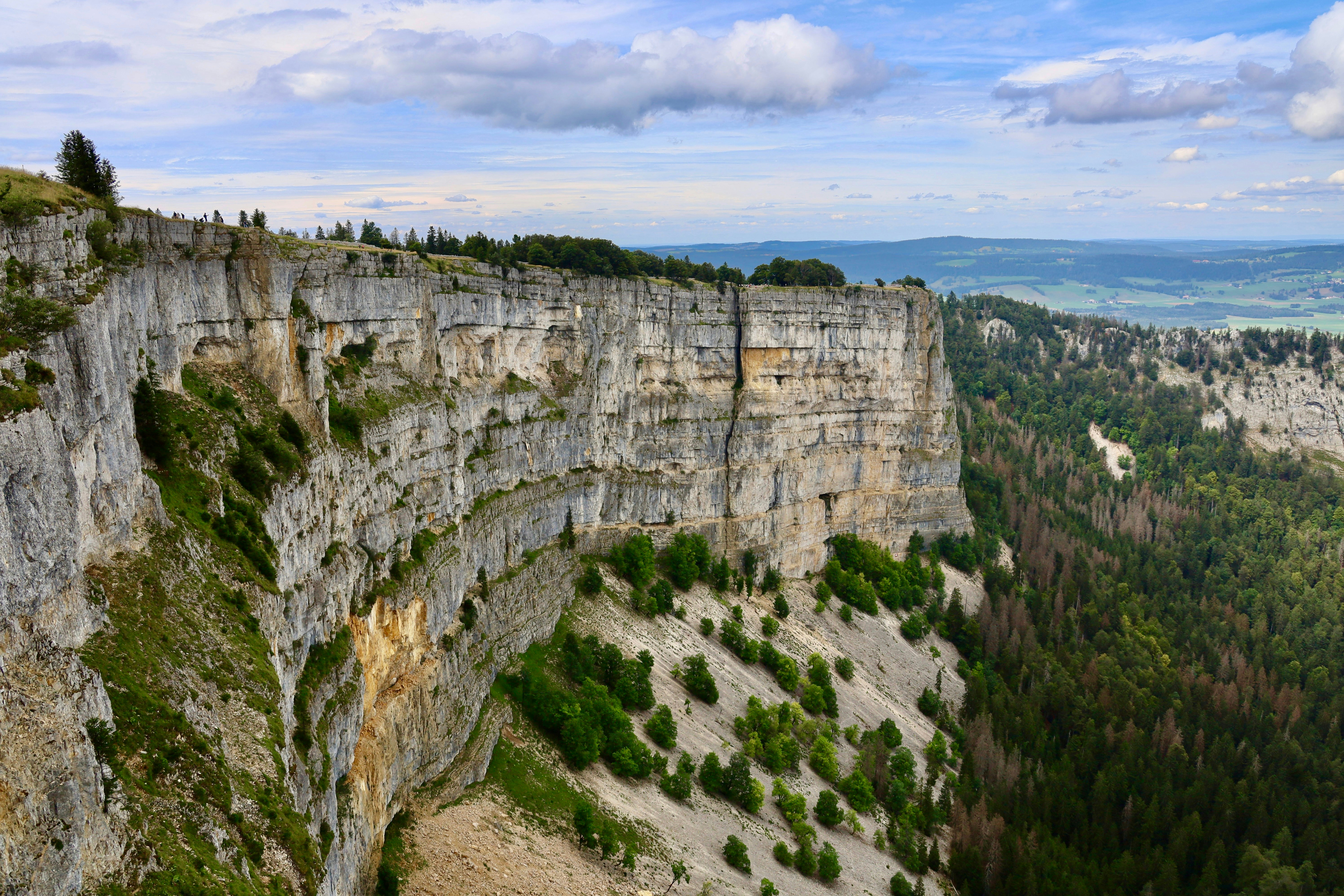 Photo by maximilian_brand