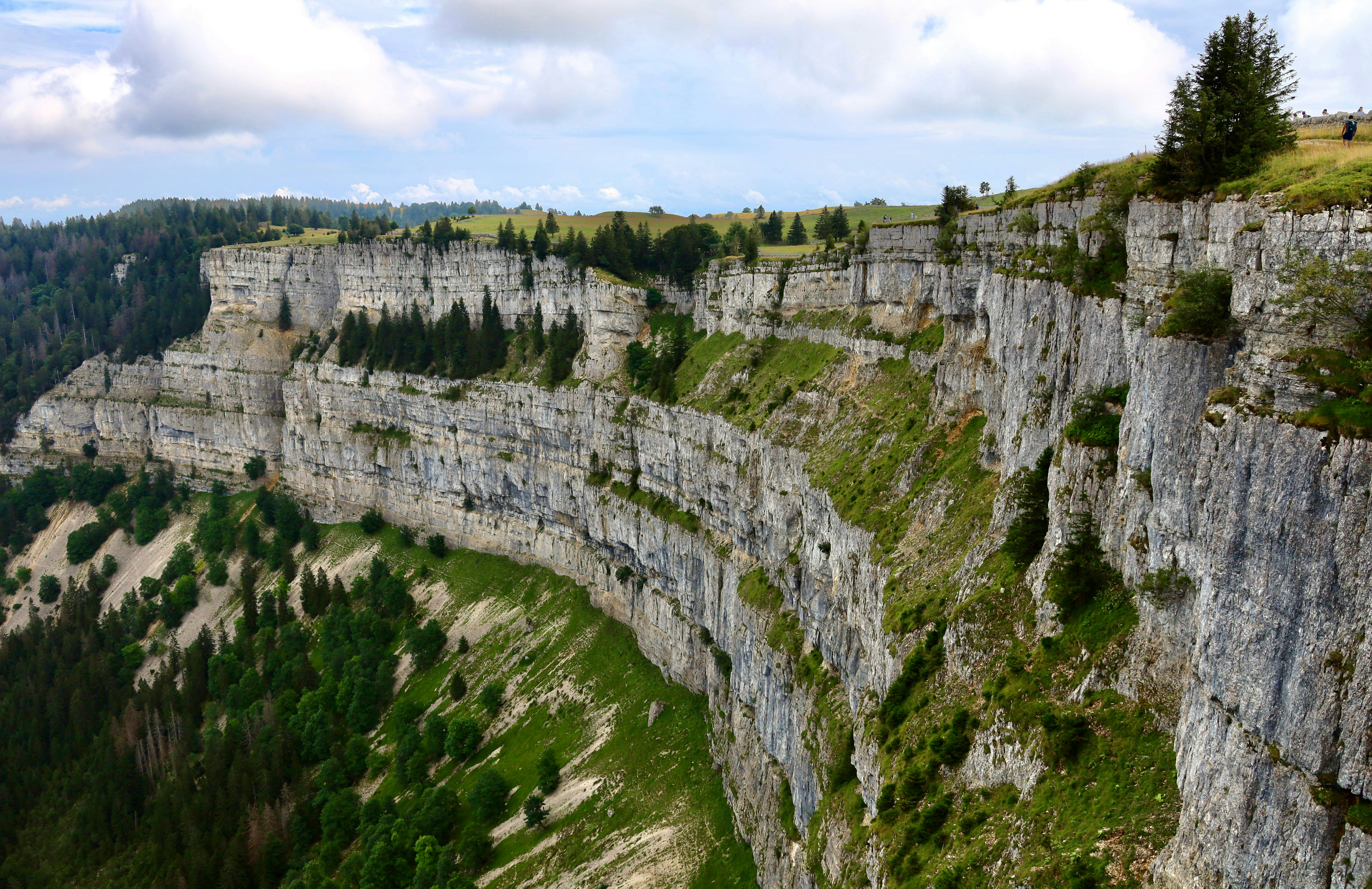 Photo by maximilian_brand