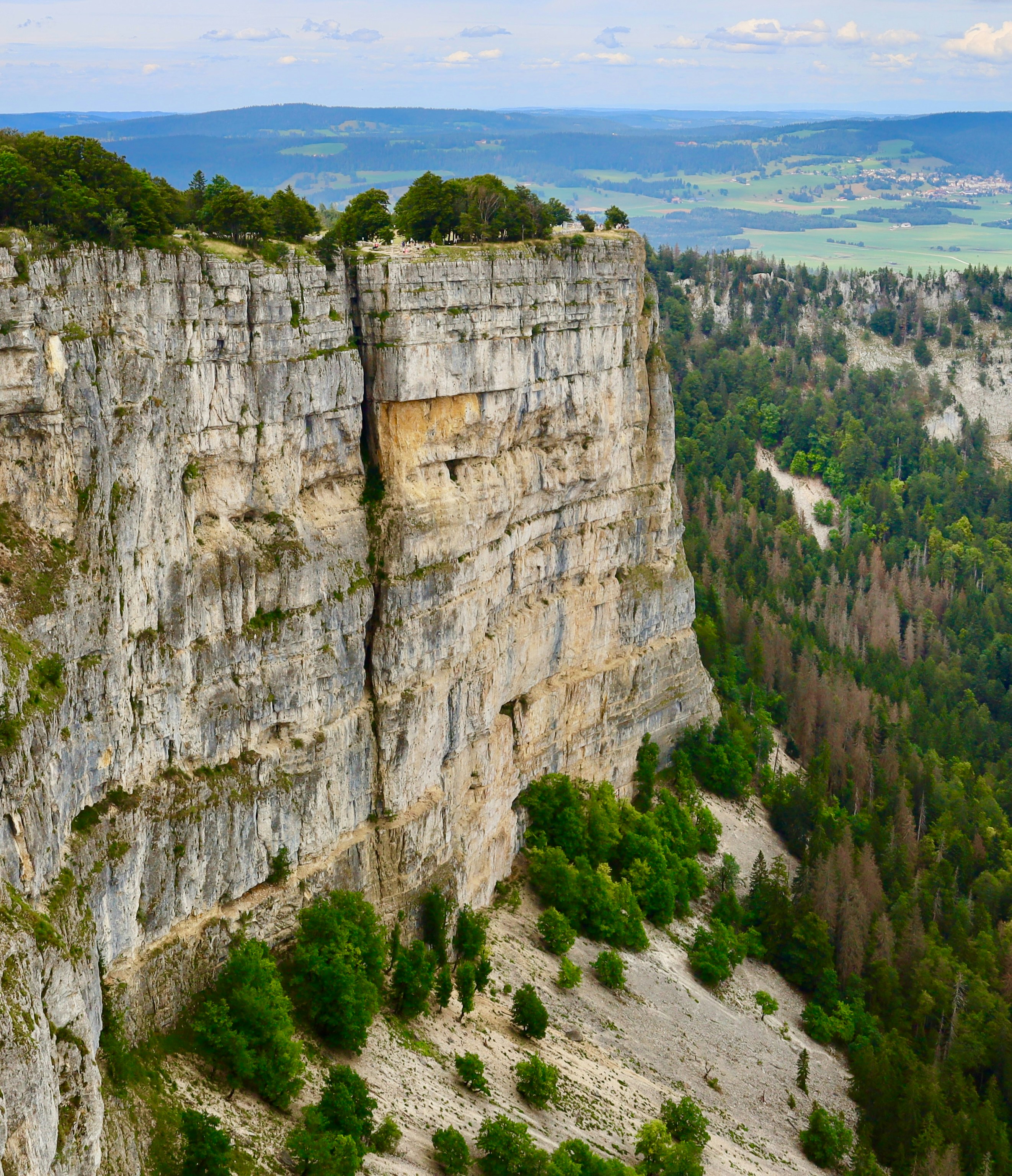 Photo by maximilian_brand