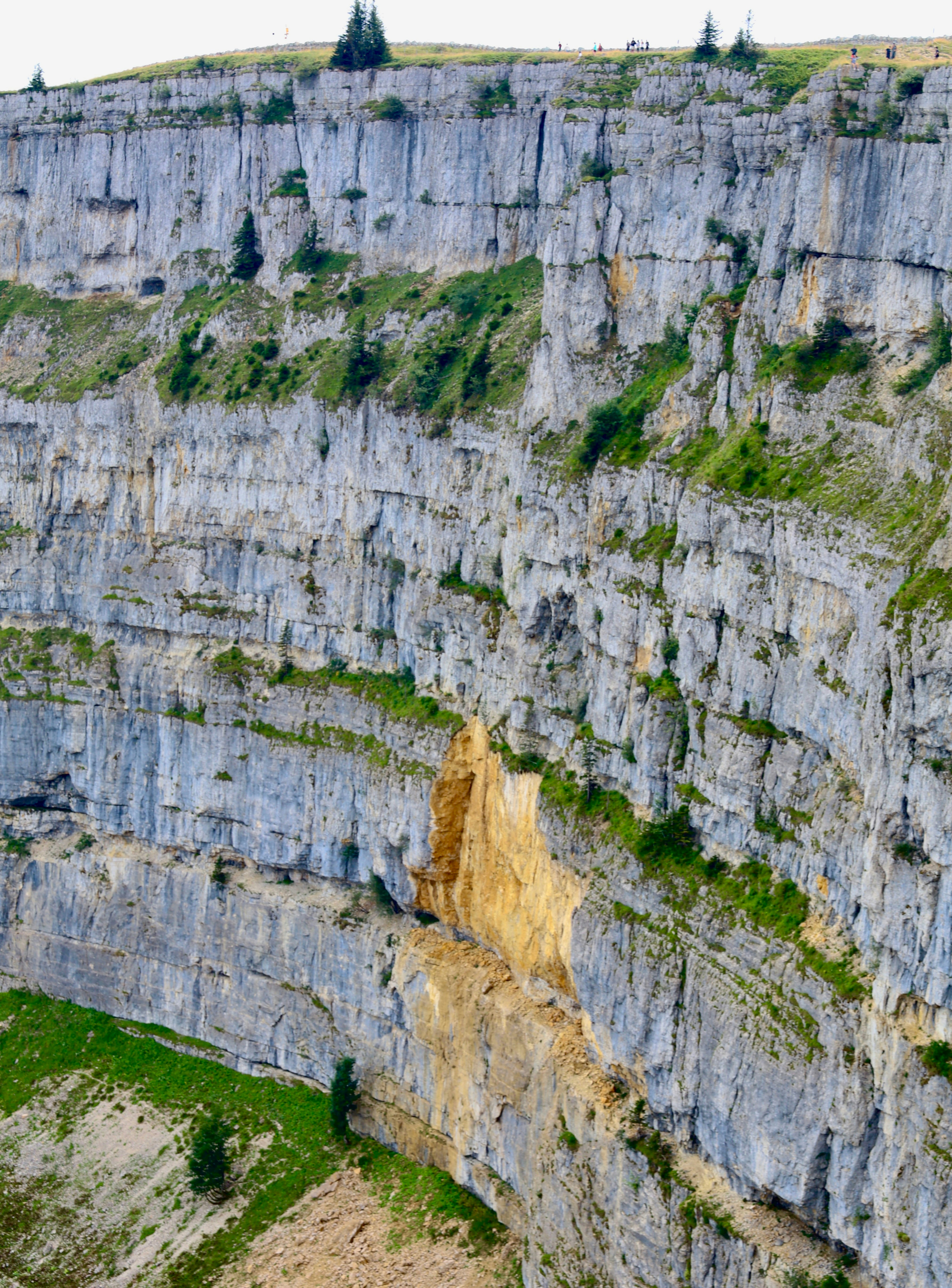 Photo by maximilian_brand