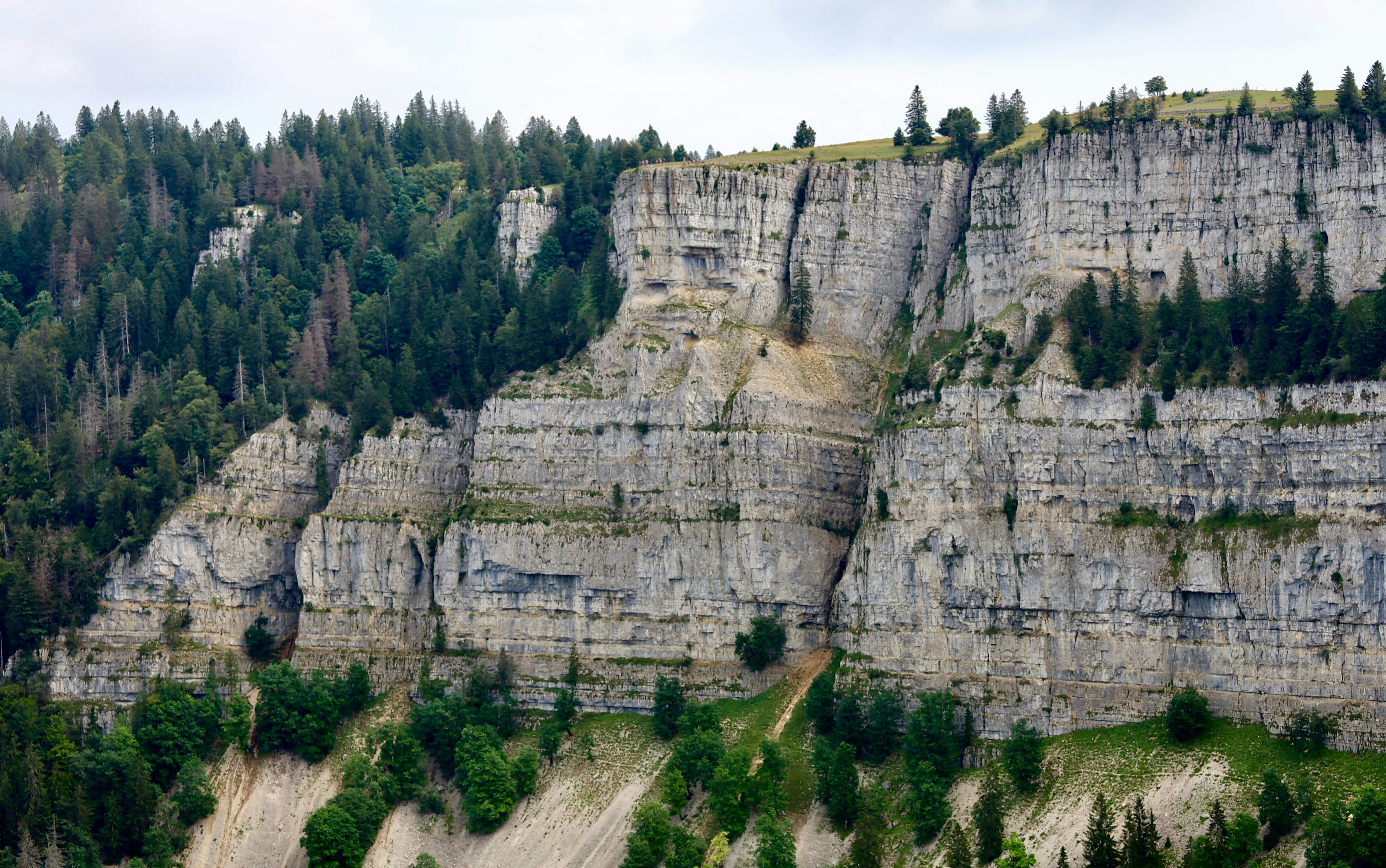 Photo by maximilian_brand