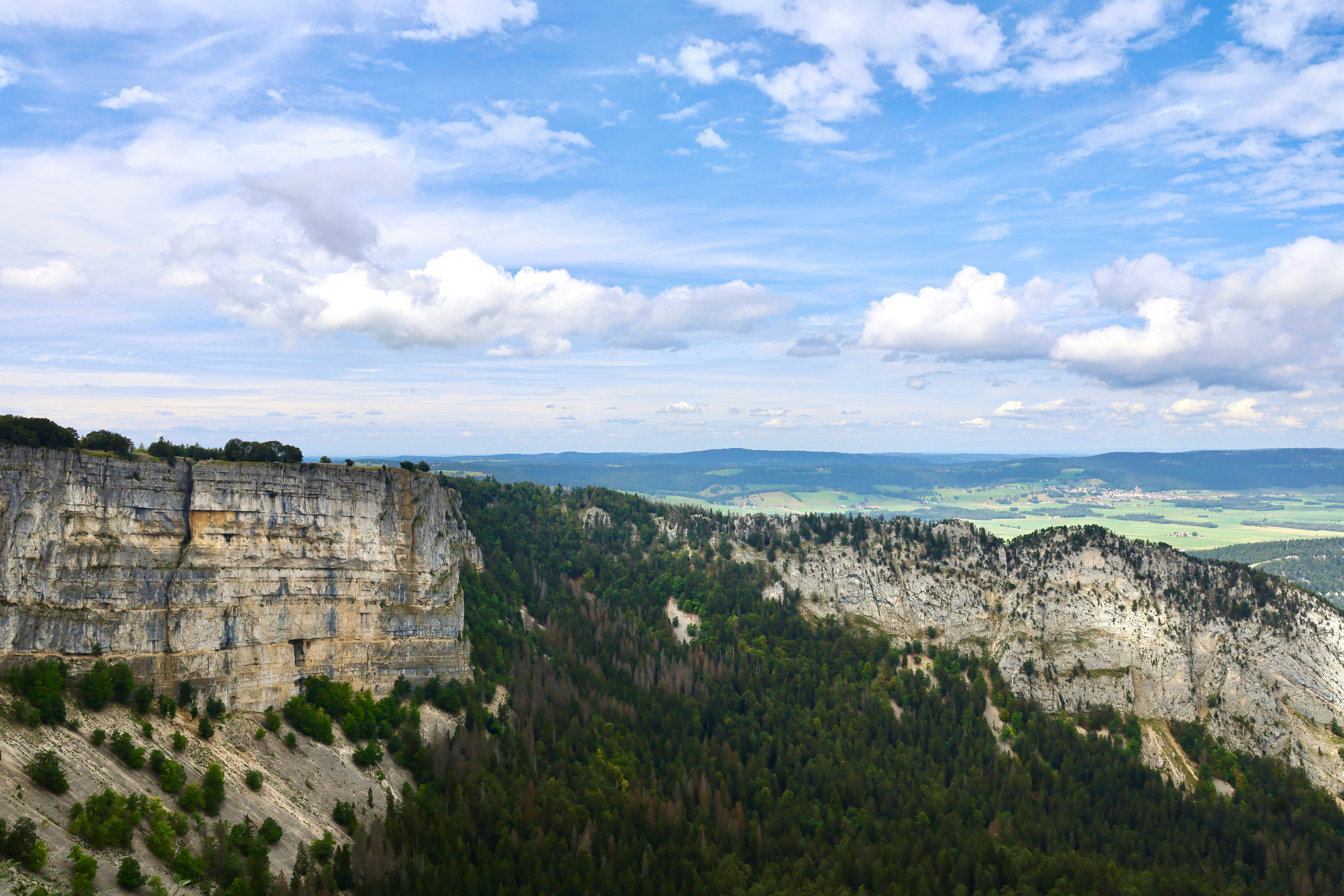 Photo by maximilian_brand