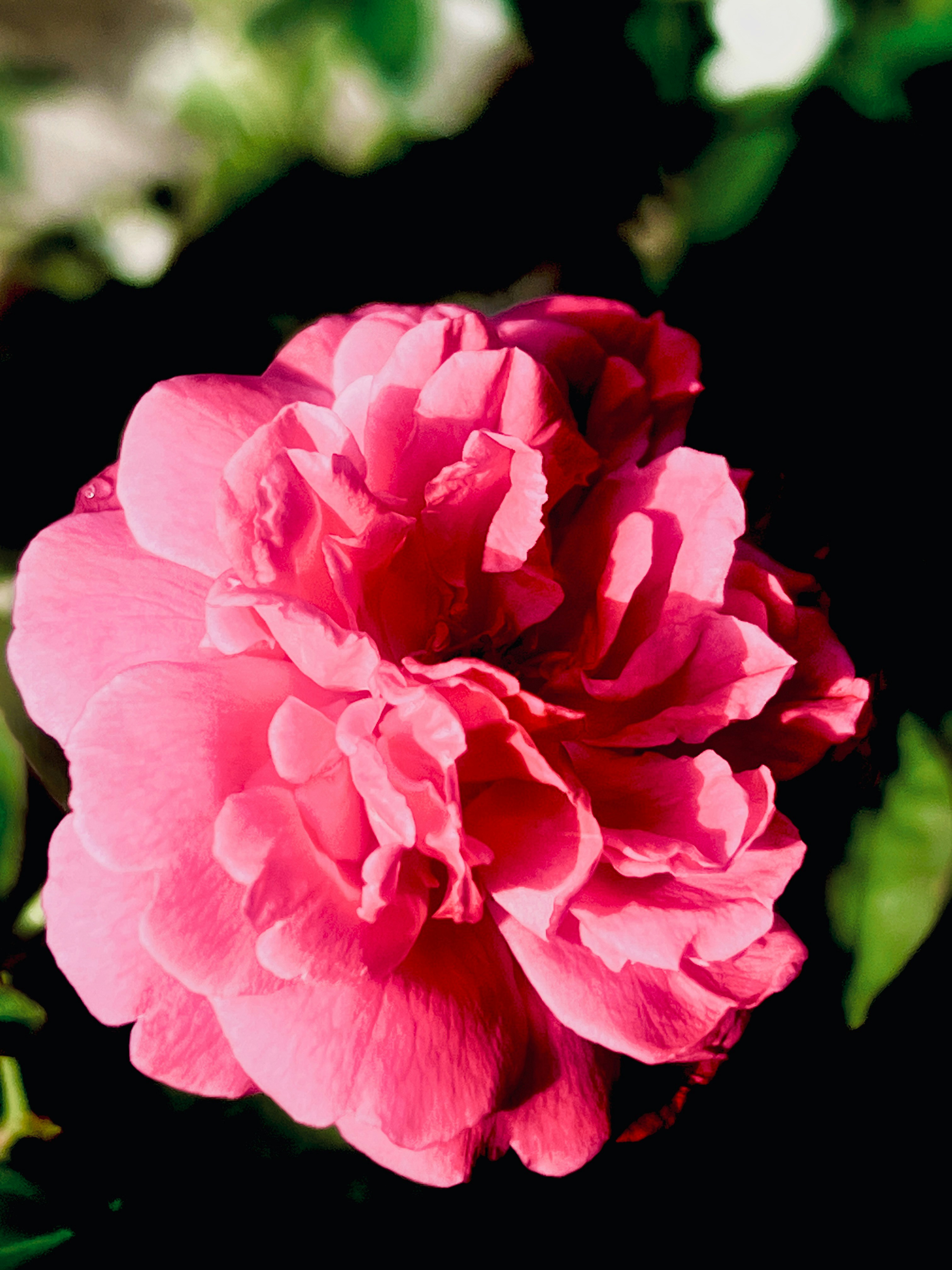 Photo by thanhliem178