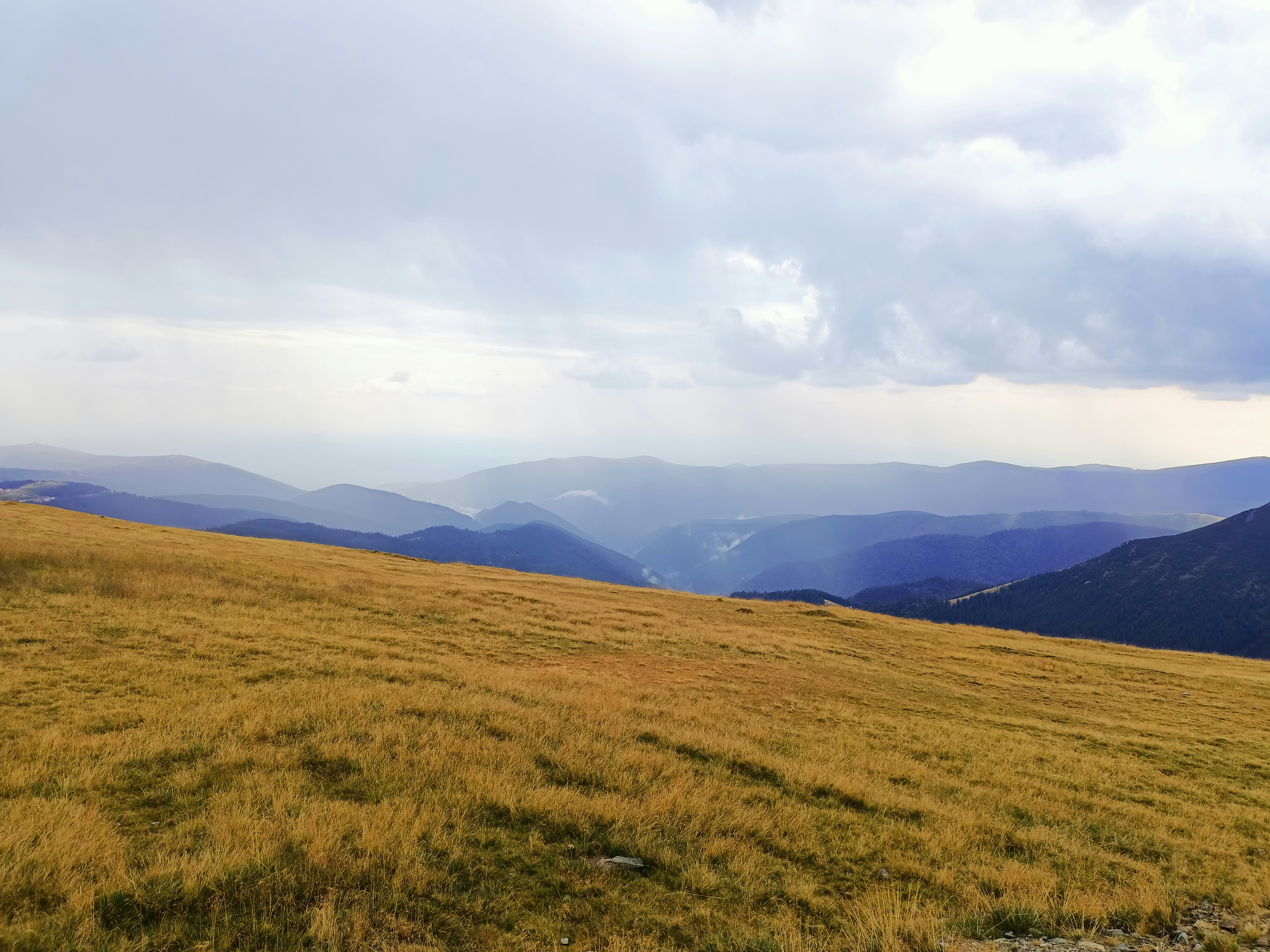 Photo by mihai8612