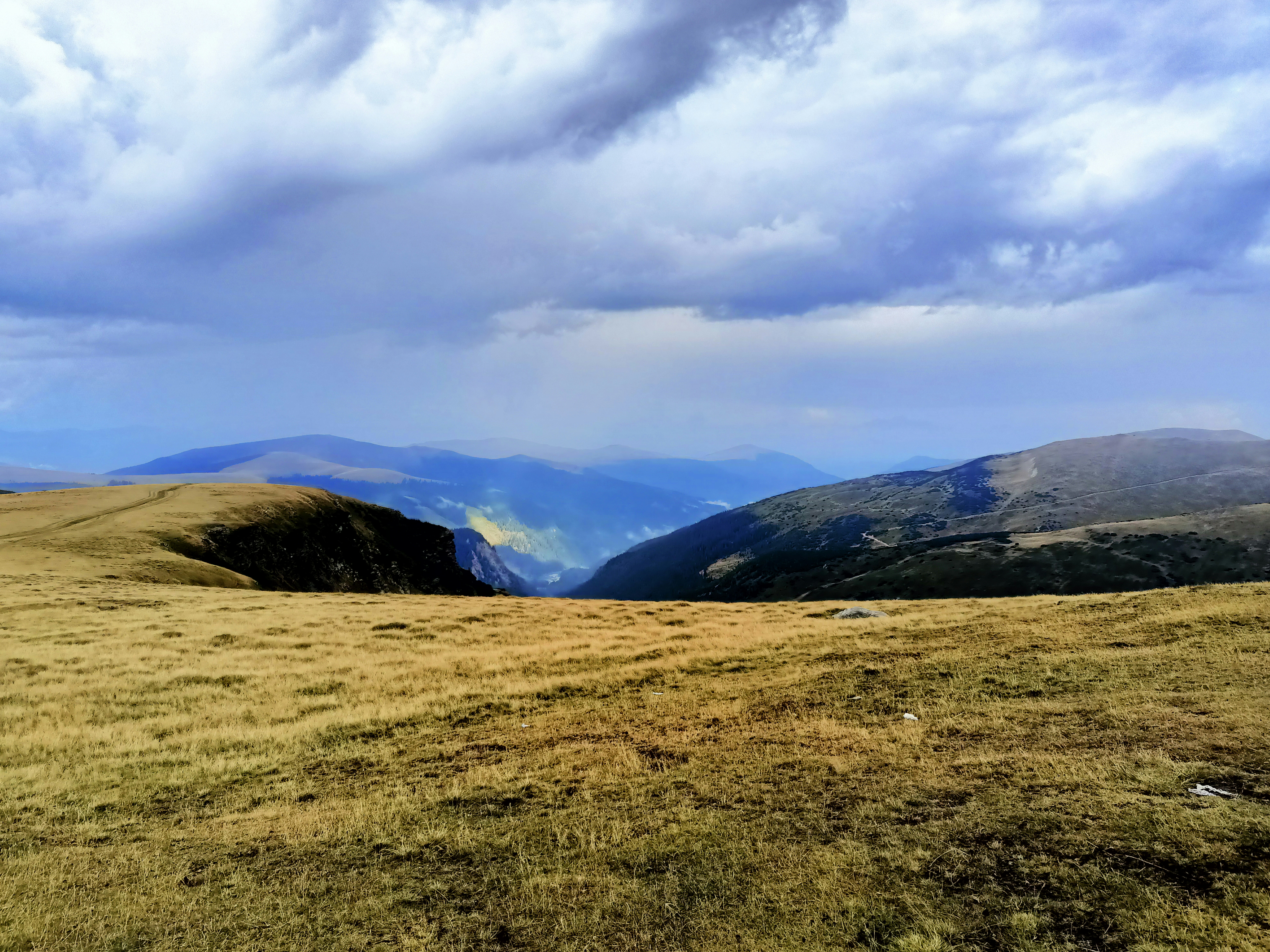 Photo by mihai8612