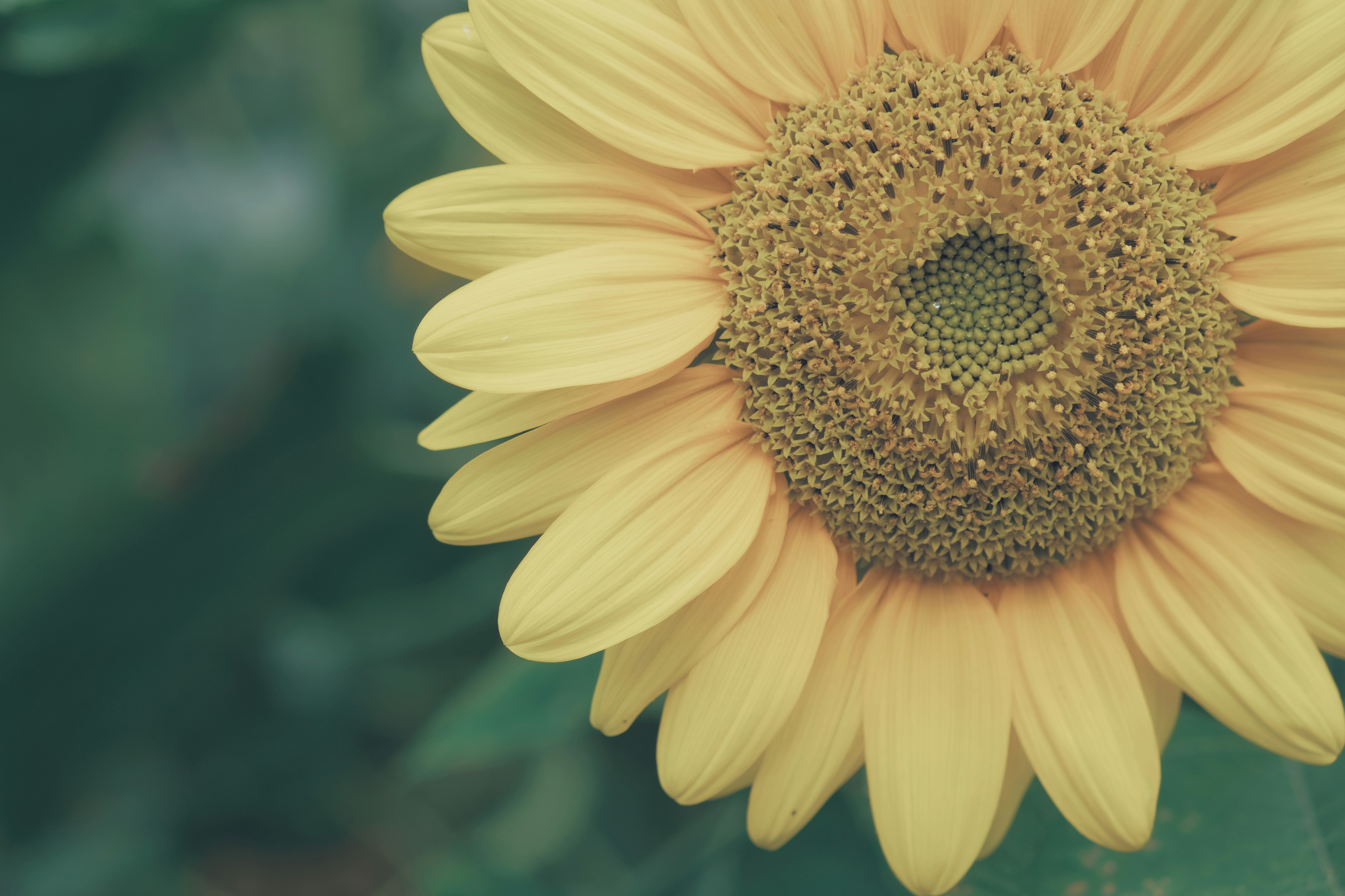 Photo by mehmetdemiral