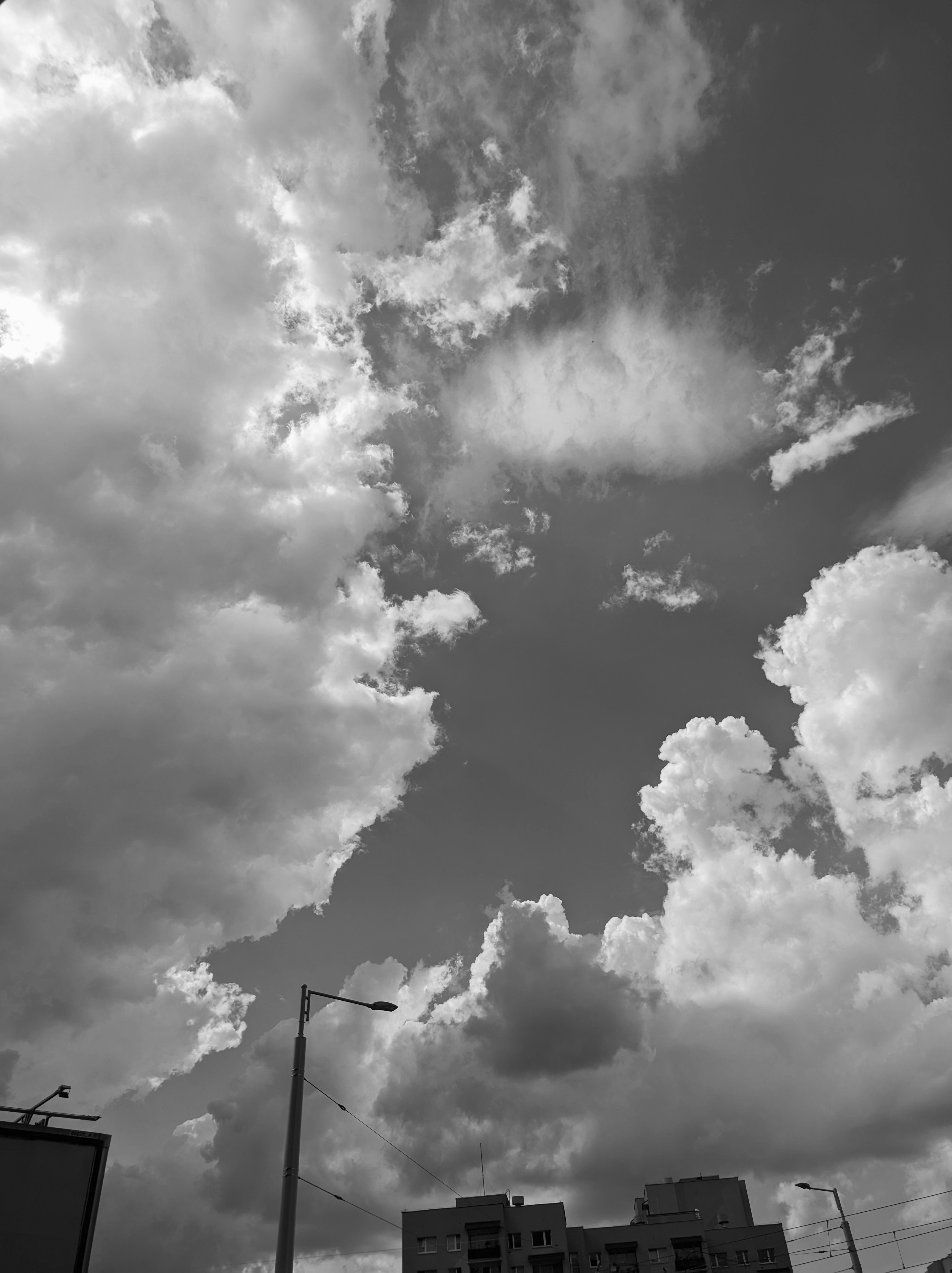 Photo by positivetourettes