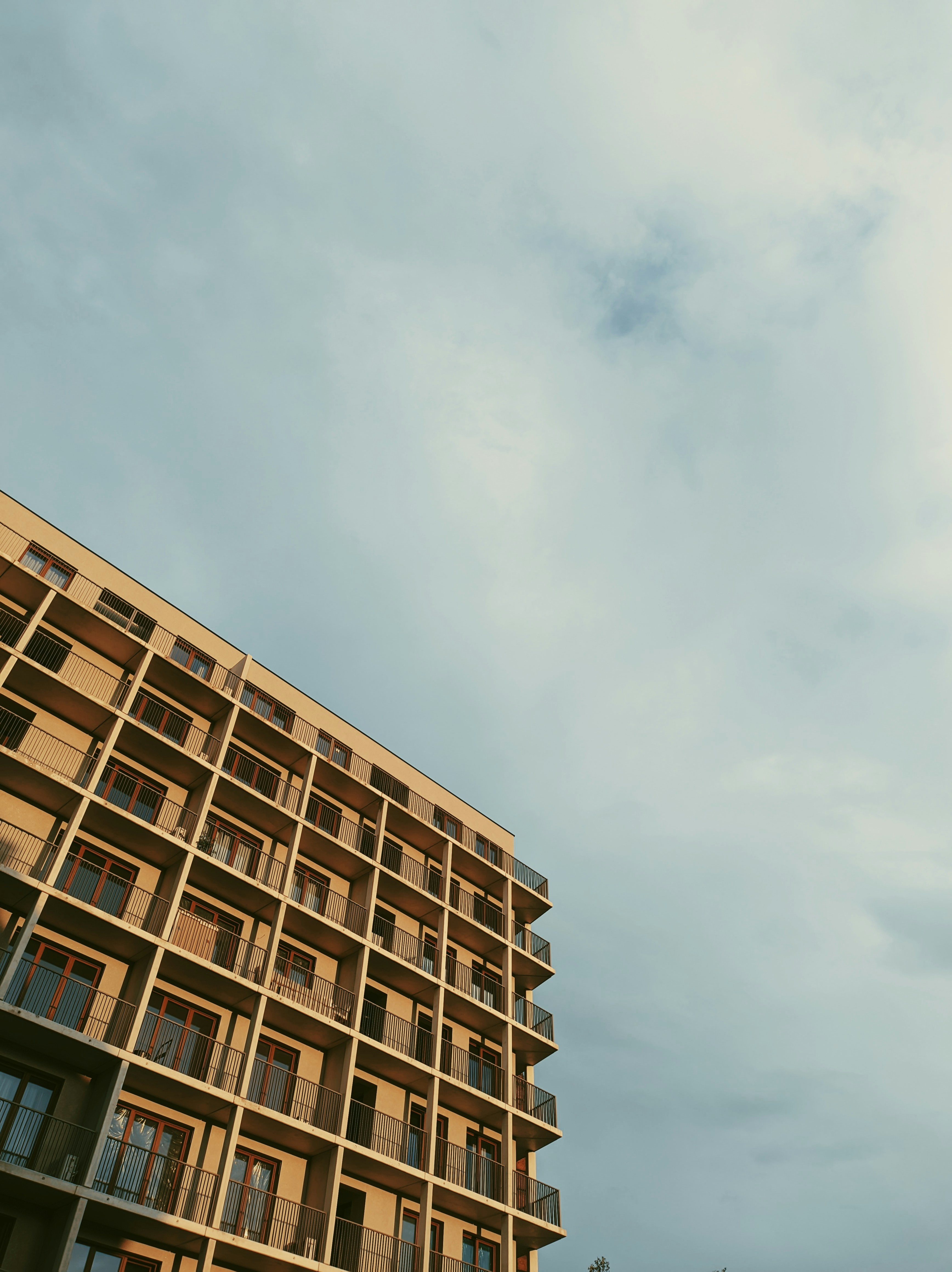 Photo by positivetourettes