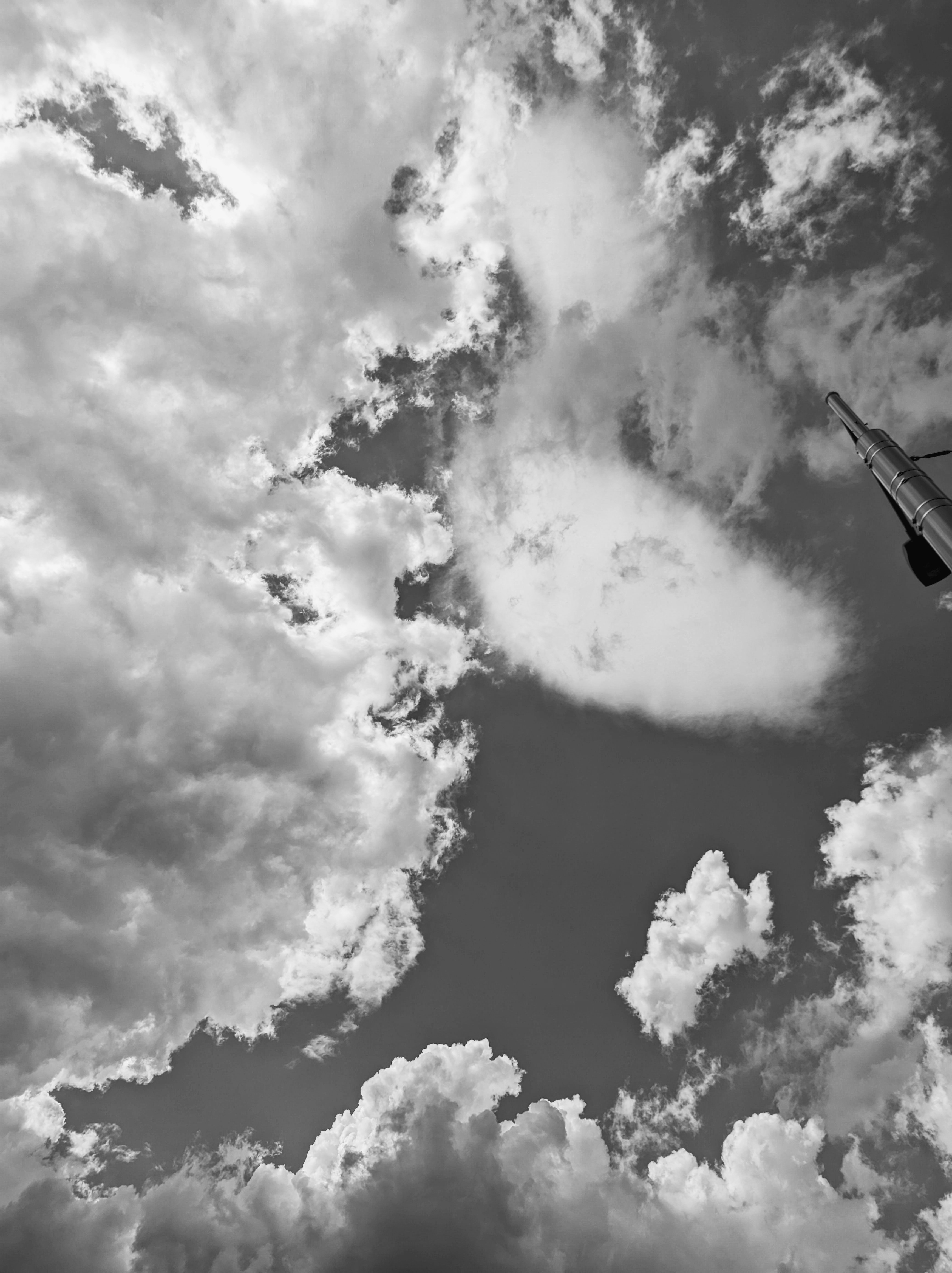 Photo by positivetourettes