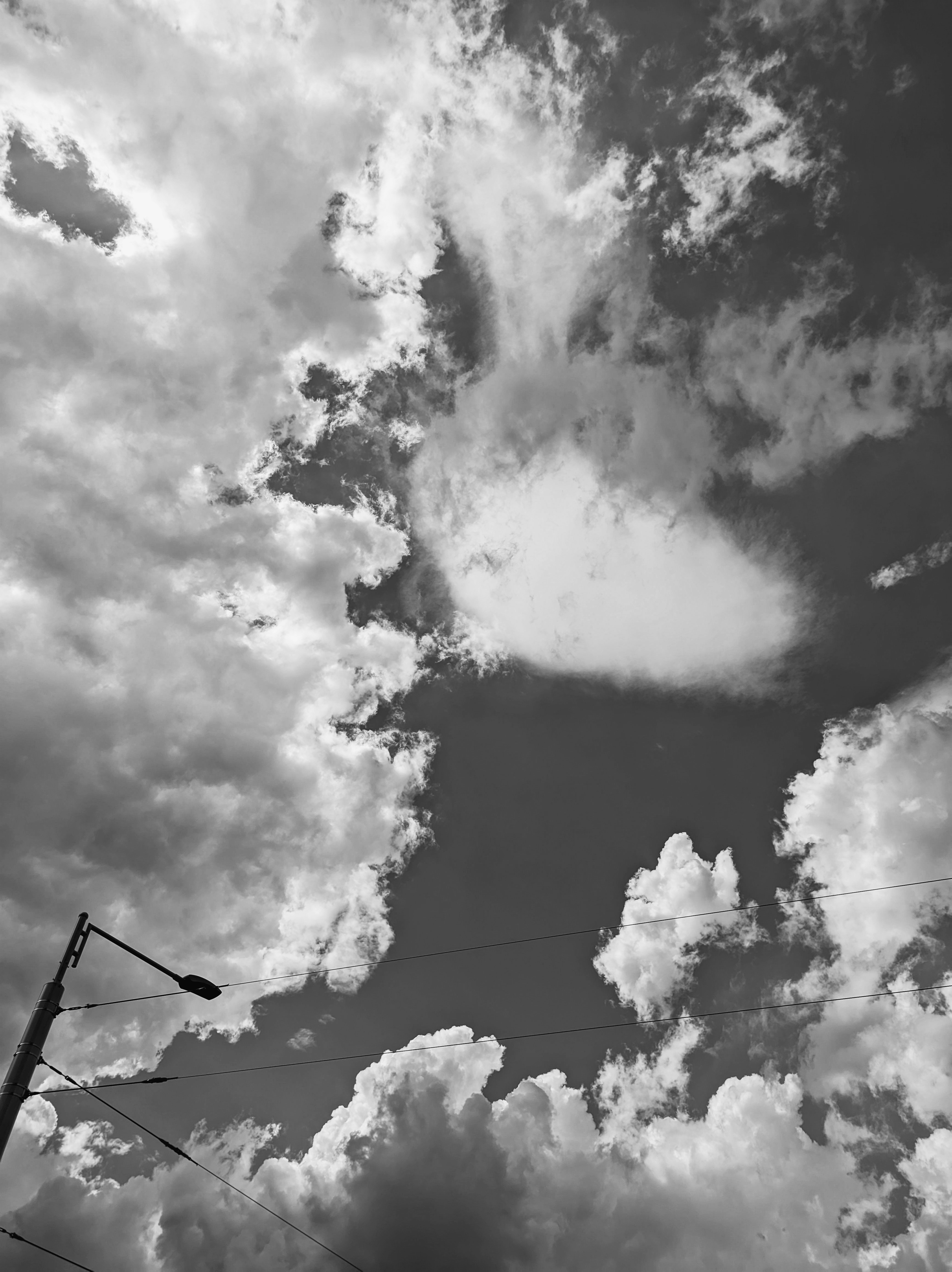 Photo by positivetourettes