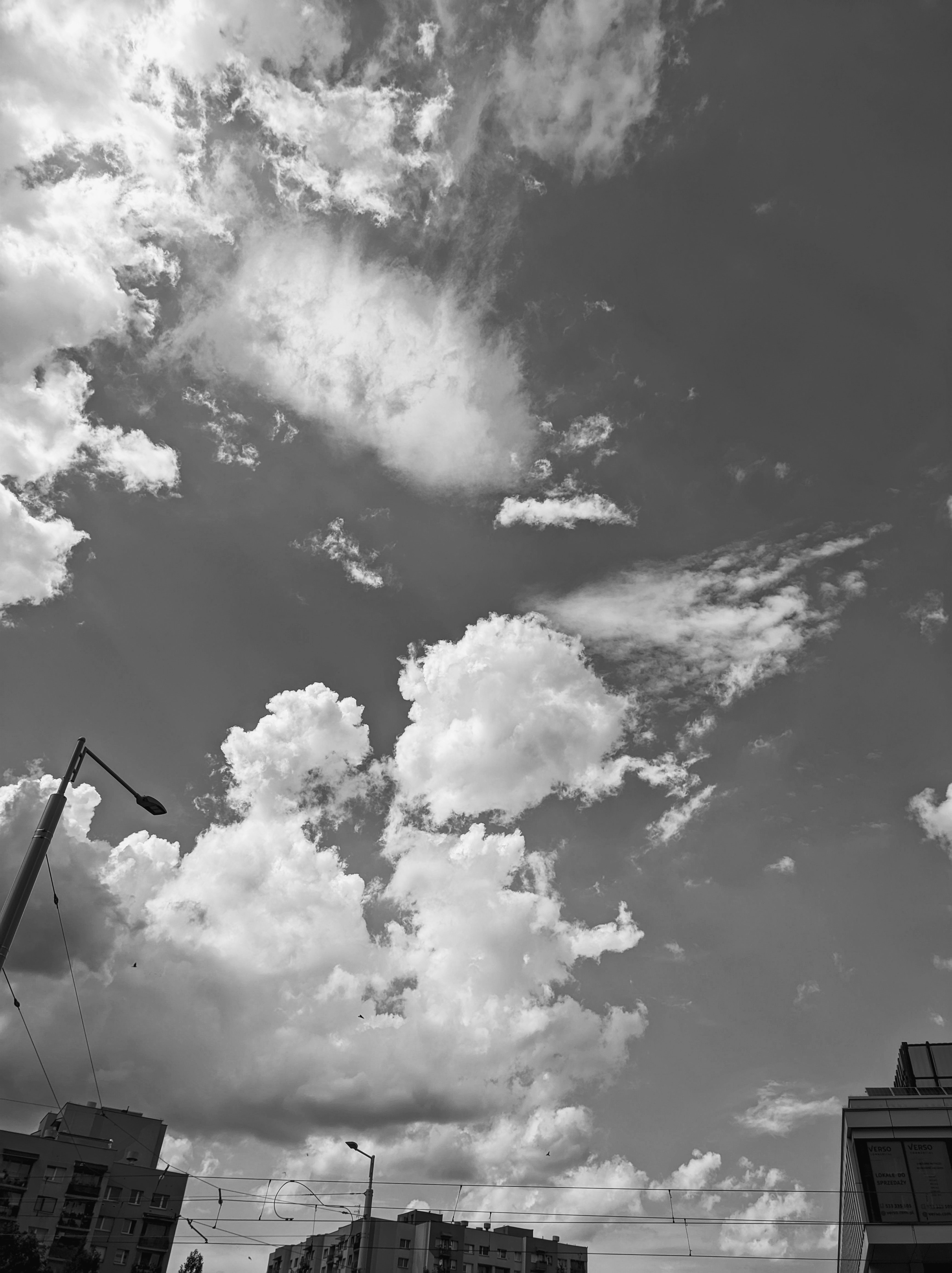 Photo by positivetourettes