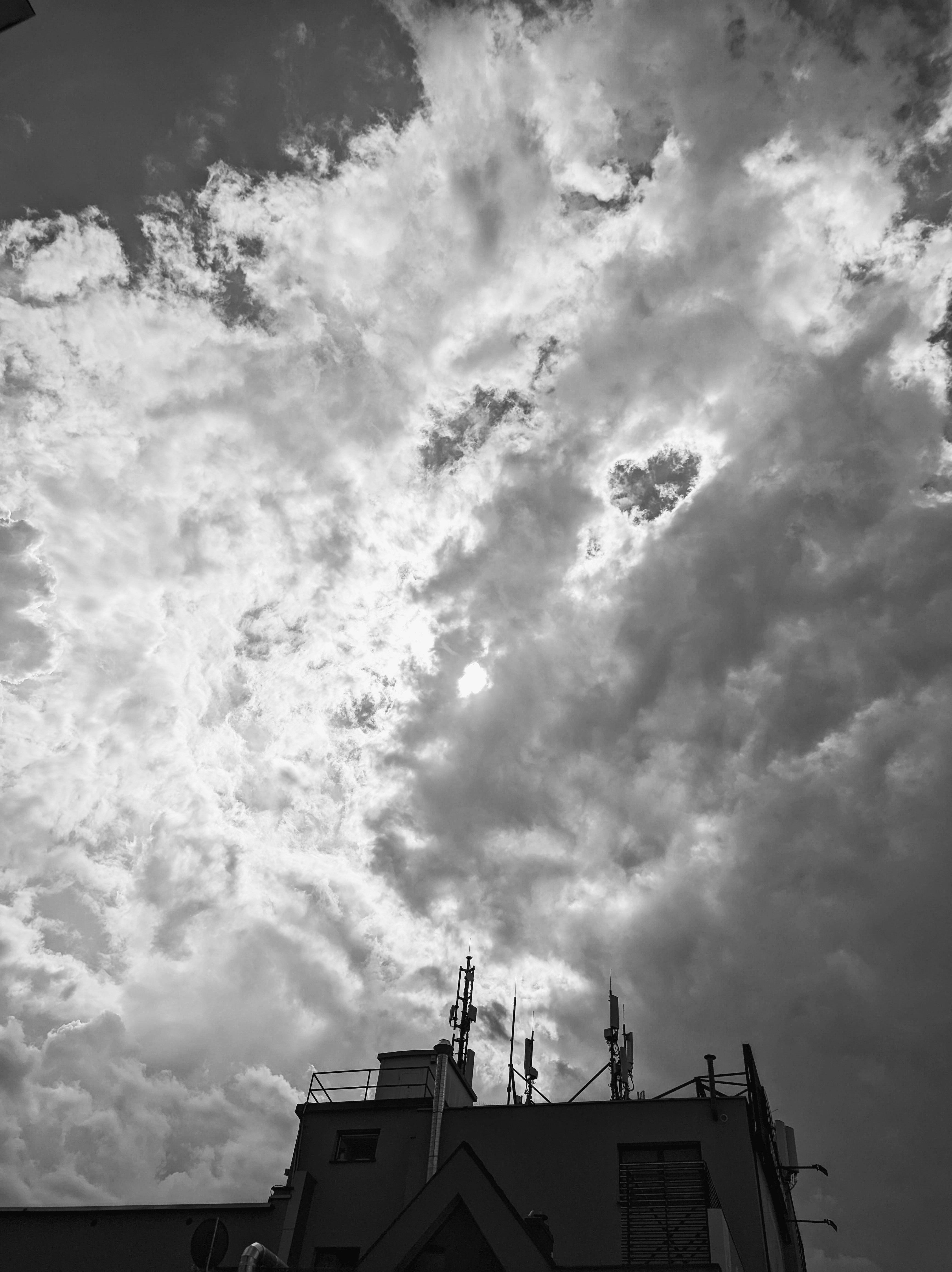 Photo by positivetourettes